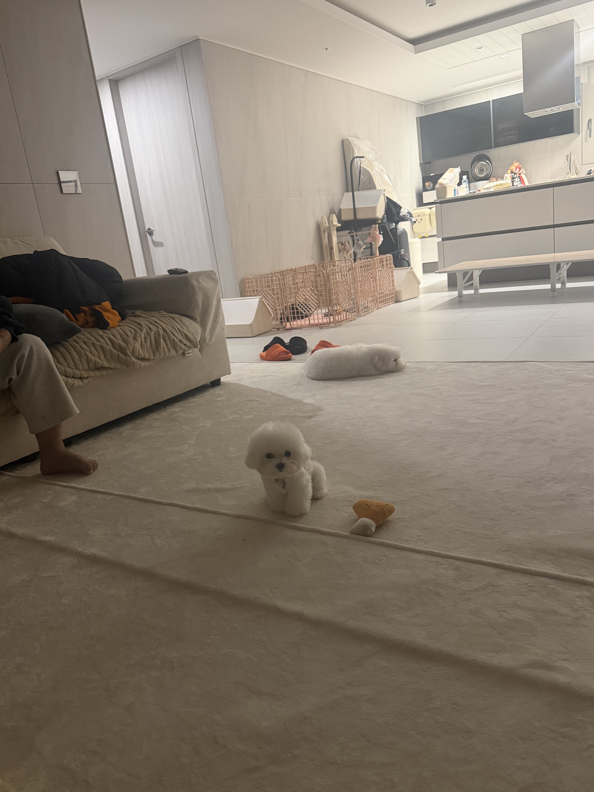 #9시에 만나요  감사합니다 ㅎㅎ