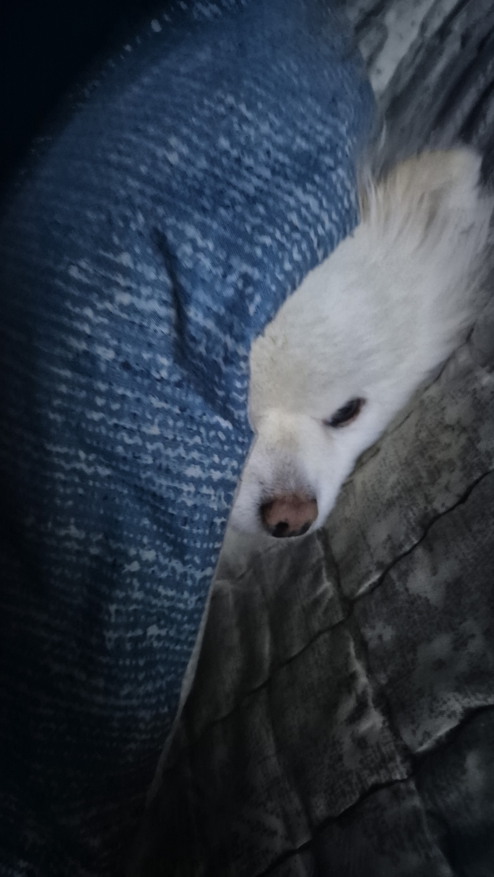 졸리니까 좀 잘게요~