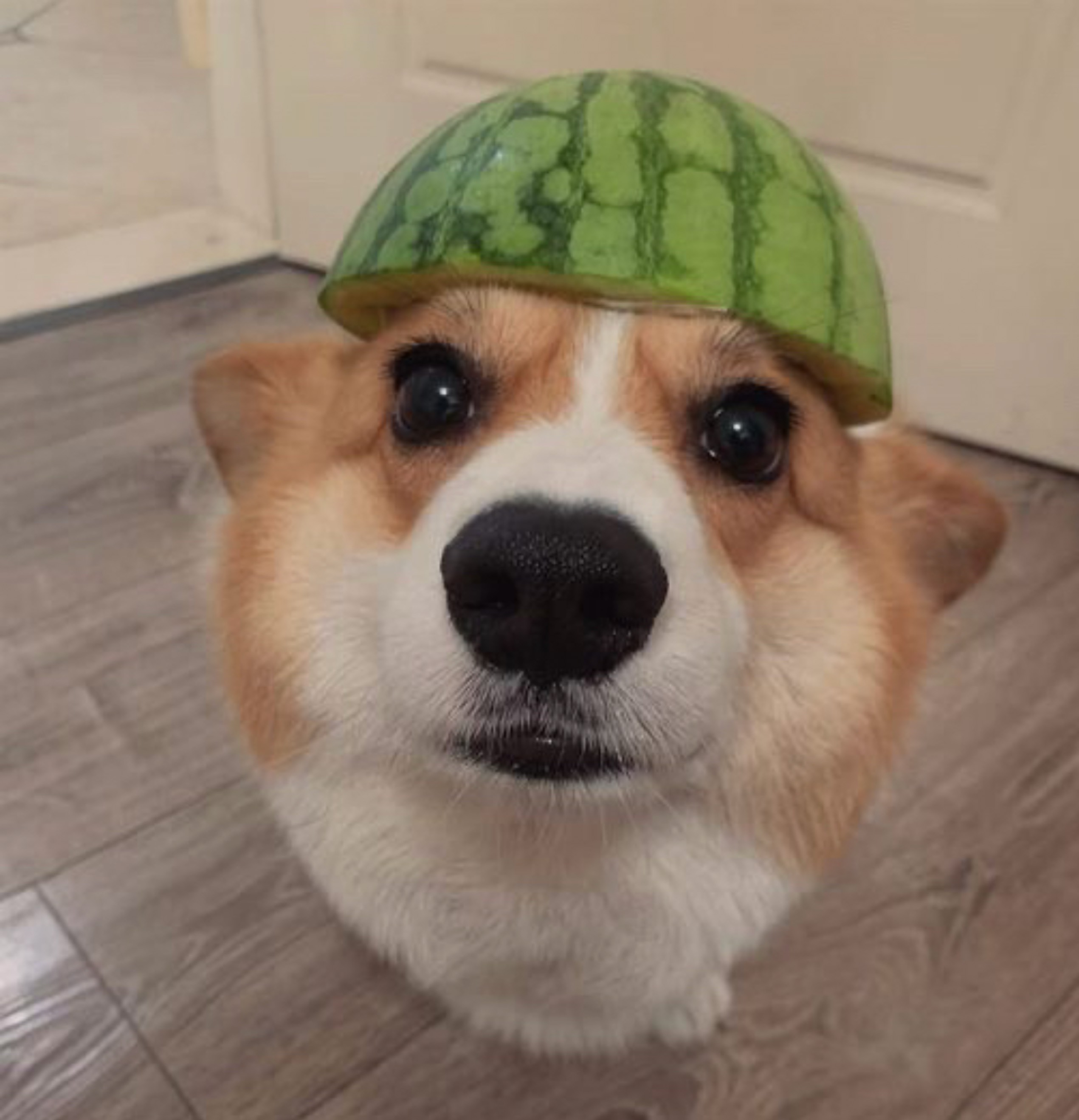 편하게들어와요😊아무나