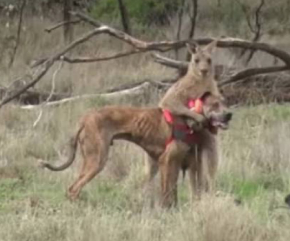 편하게들어와요😊