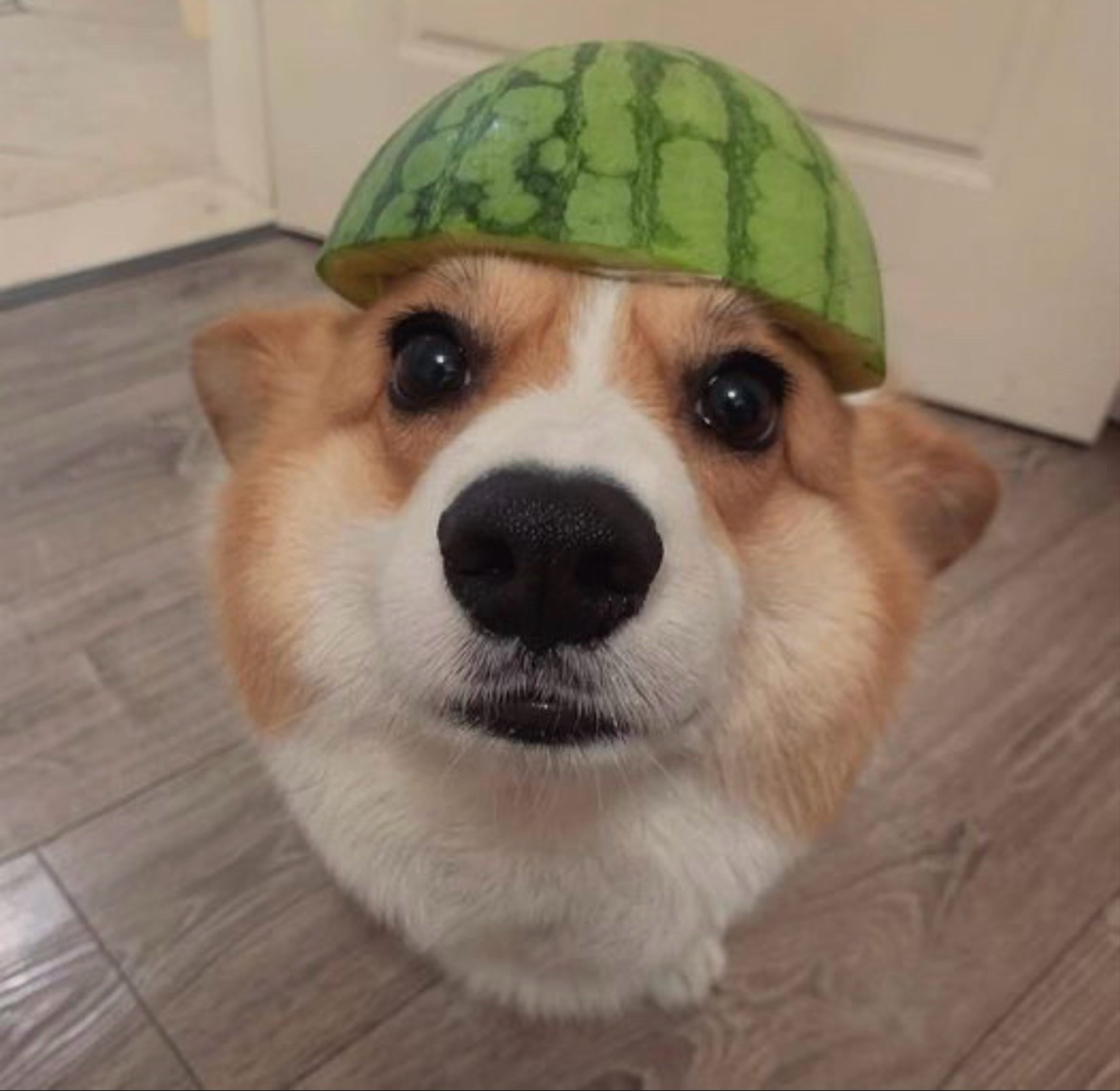 아무나편하게와요😄