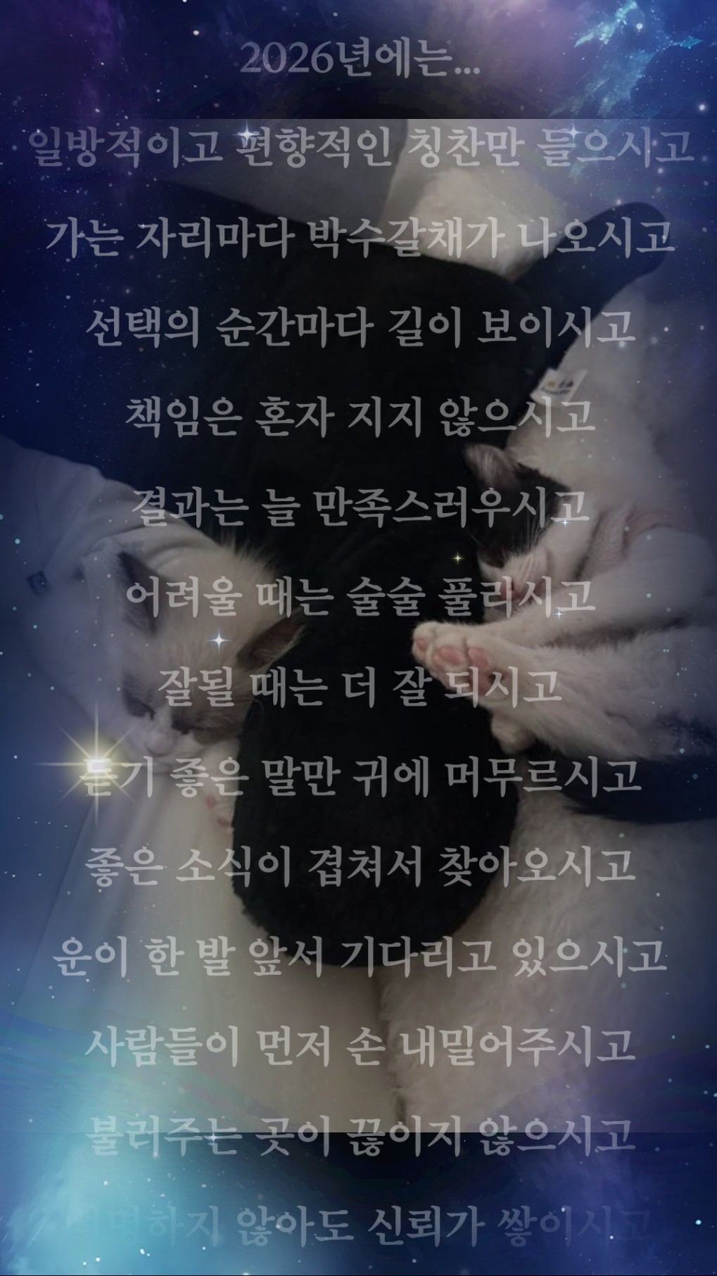 새해 복 다 내꺼 ❤️