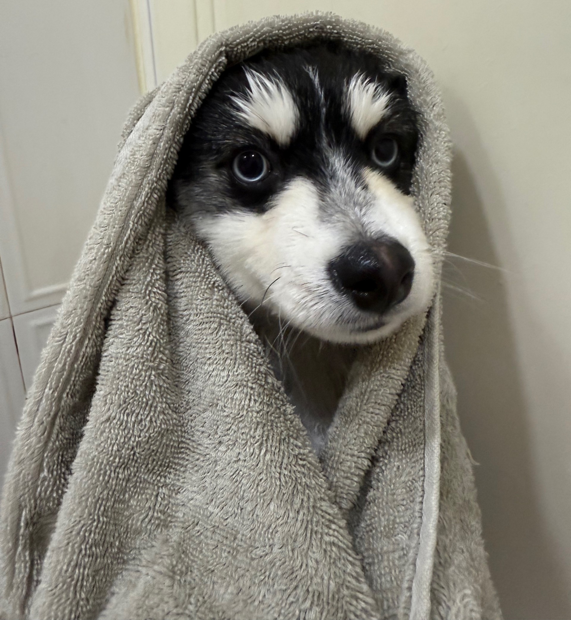 # 마감 담좌 카지노 ㄱㄱ