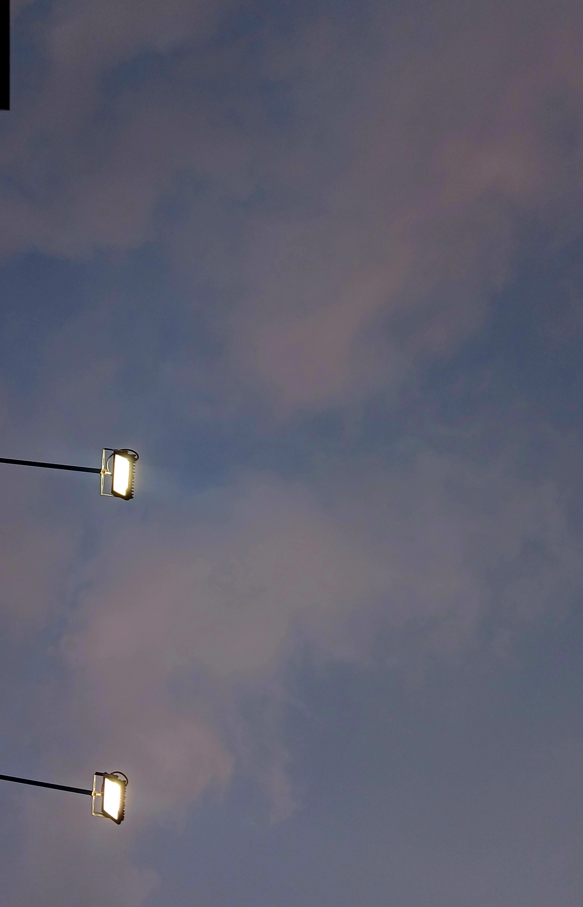 미안 잊고 있었다