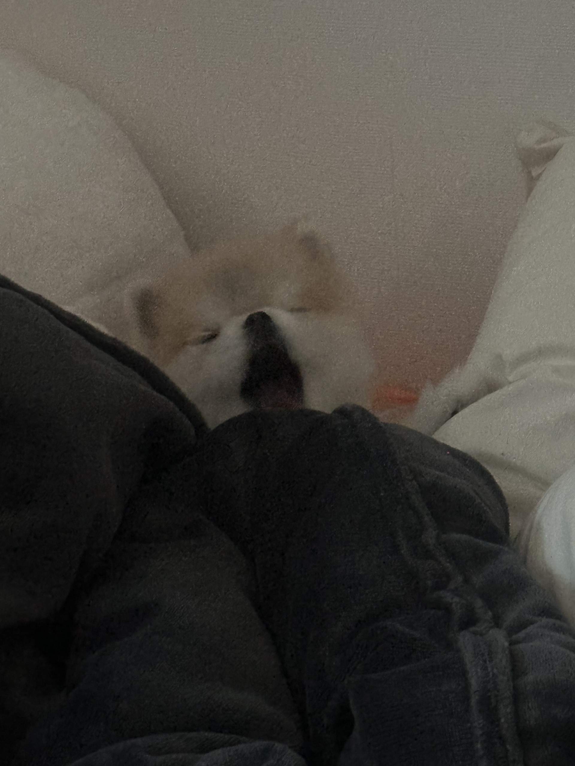 # 6시30분에만나여 렉스예수