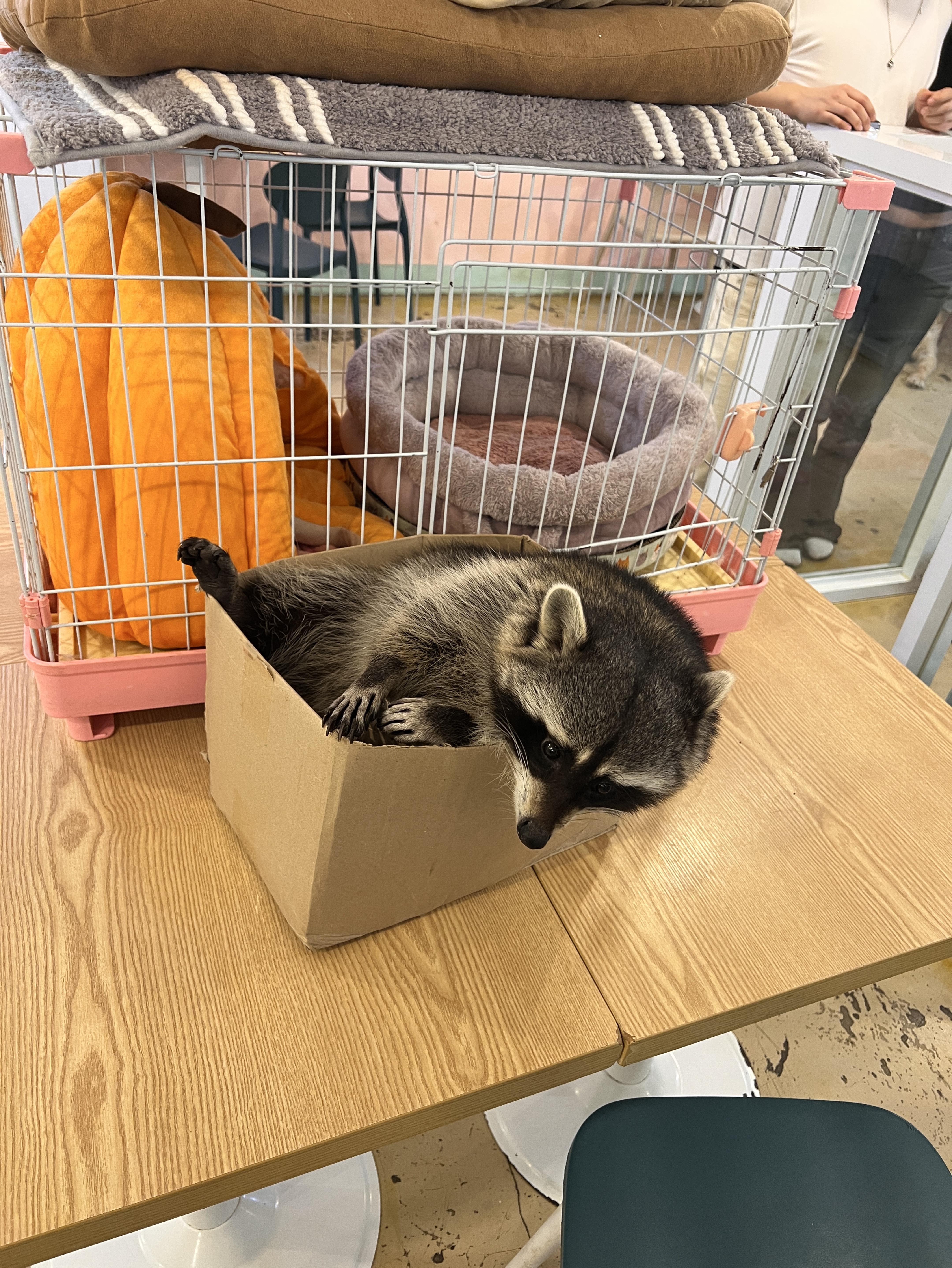 🔥텐션업 소개팅🔥동접부족🥺