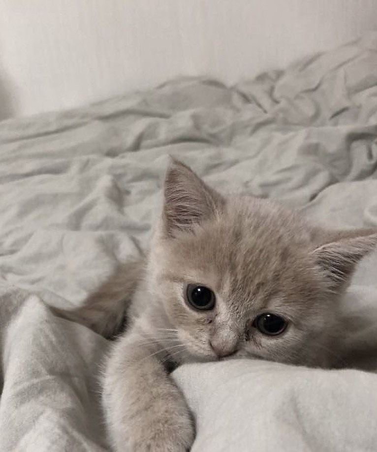 잠깐 얼굴 비추러왔어!!