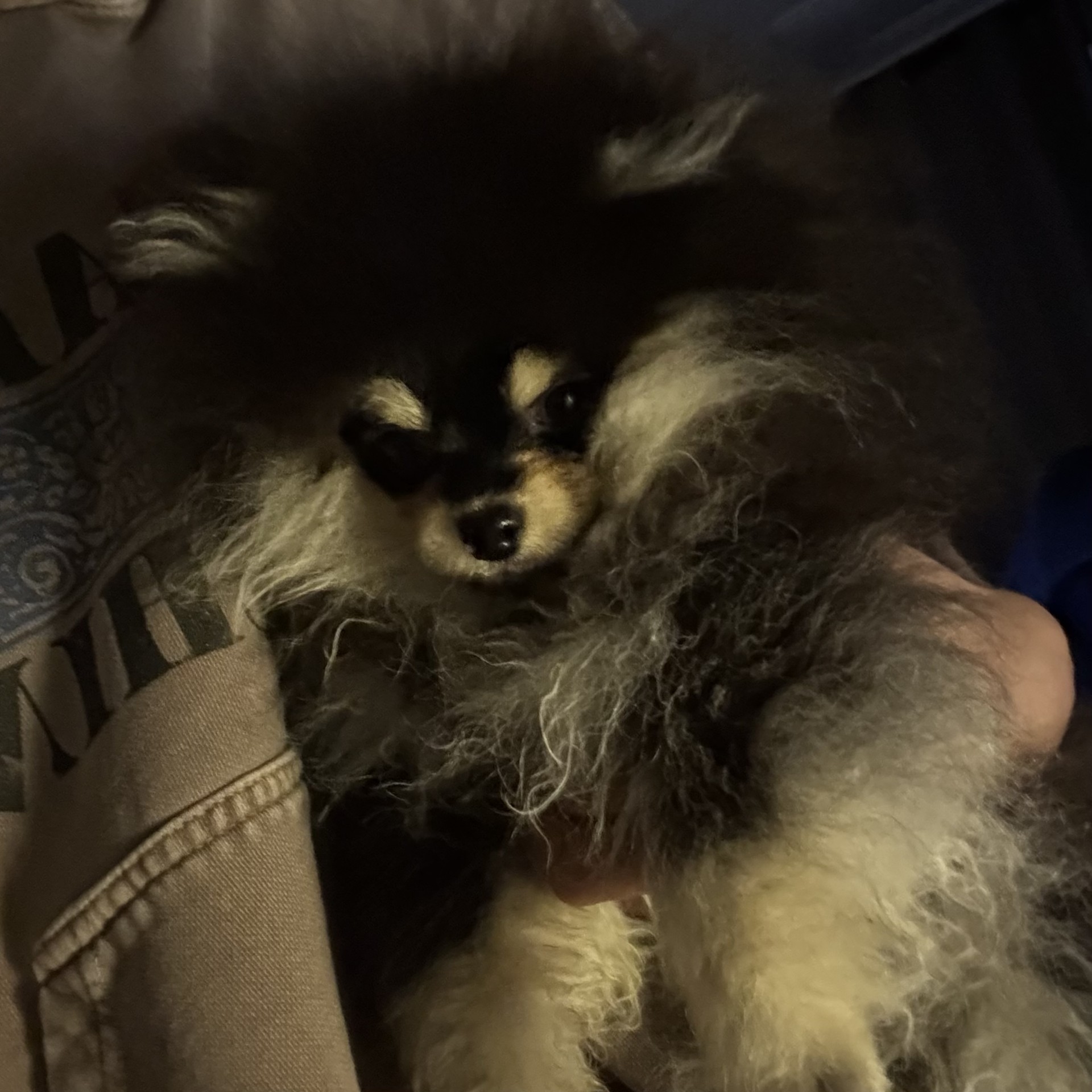 아픔 이슈로 방종푼 감사합니다 ..