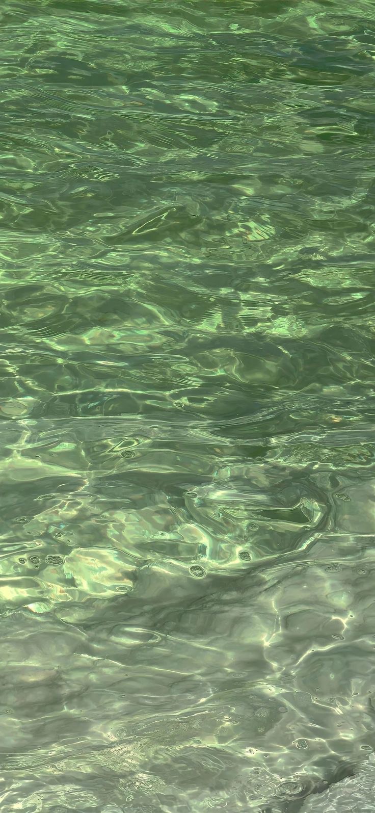 출근출근 20분!!