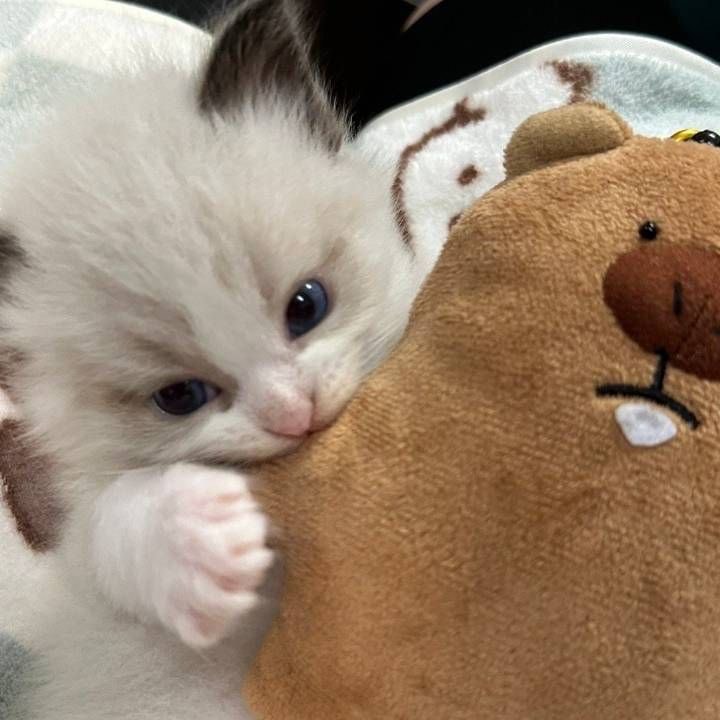 방금인나써어...