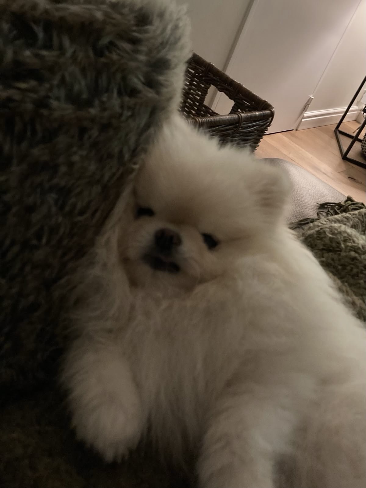 음치의 첫 노래방송이랄까..?