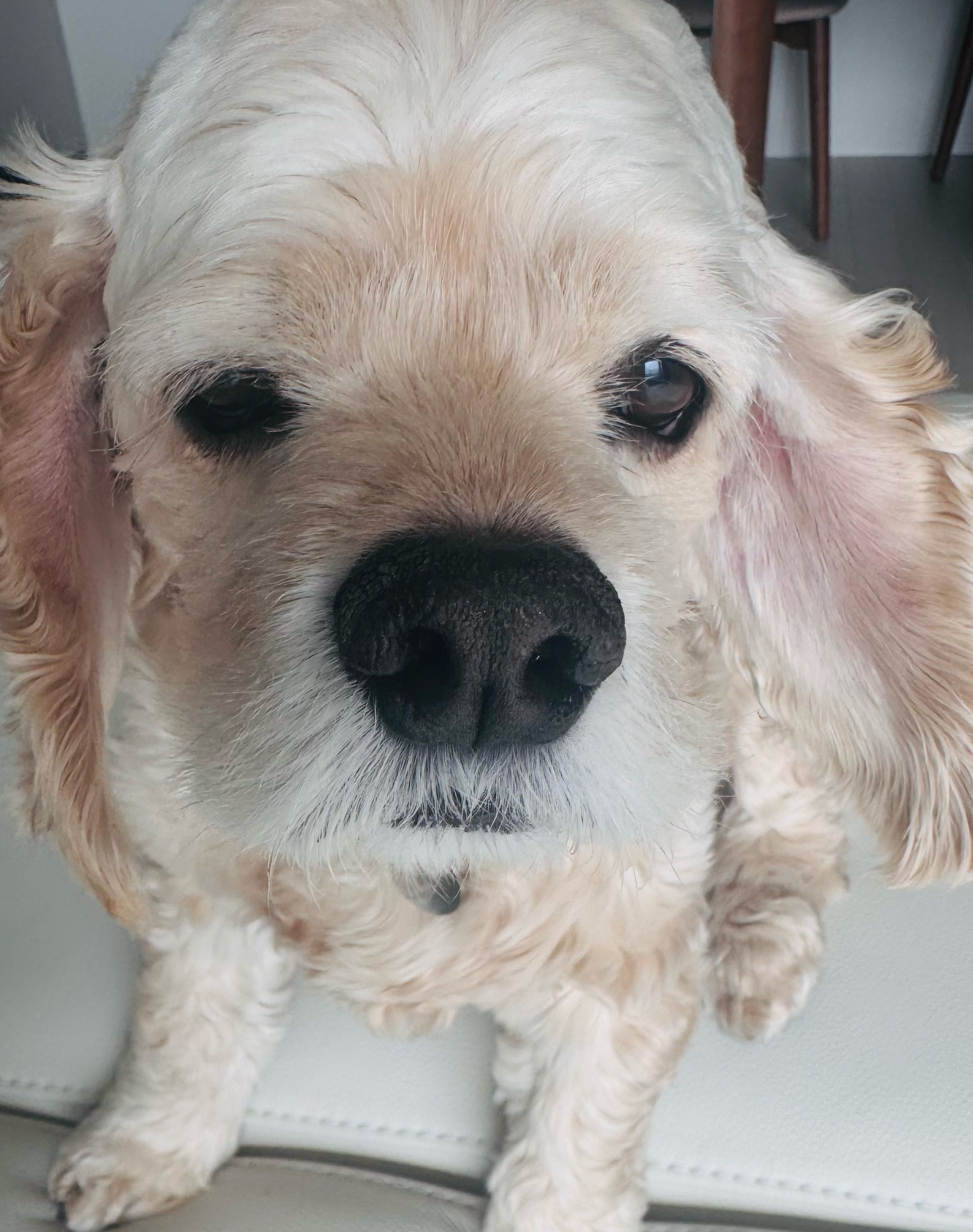 이야기 하며 노래 듣자