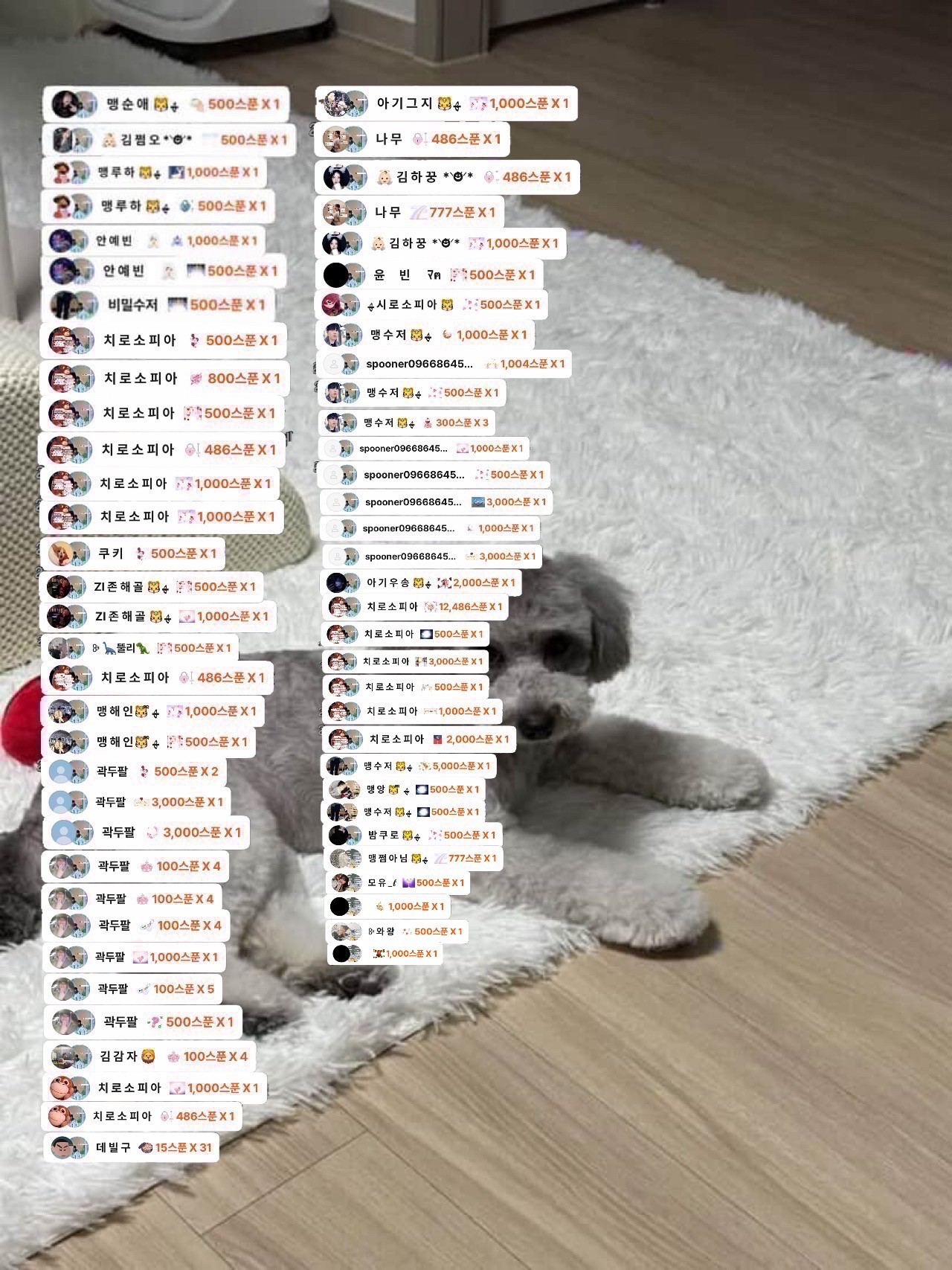 # 소개팅마감 감삼둥