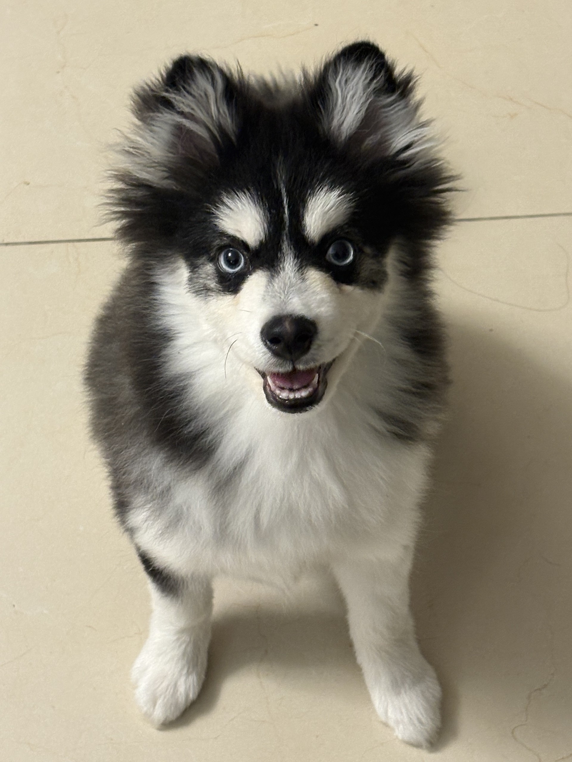 #마감 담좌 카지노 ㄱㄱ