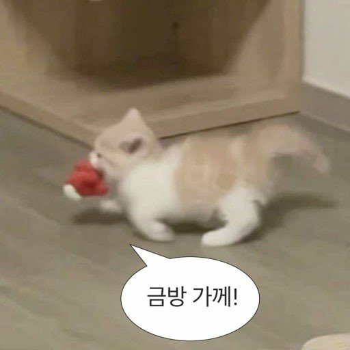 월요일도 냐옹이랑