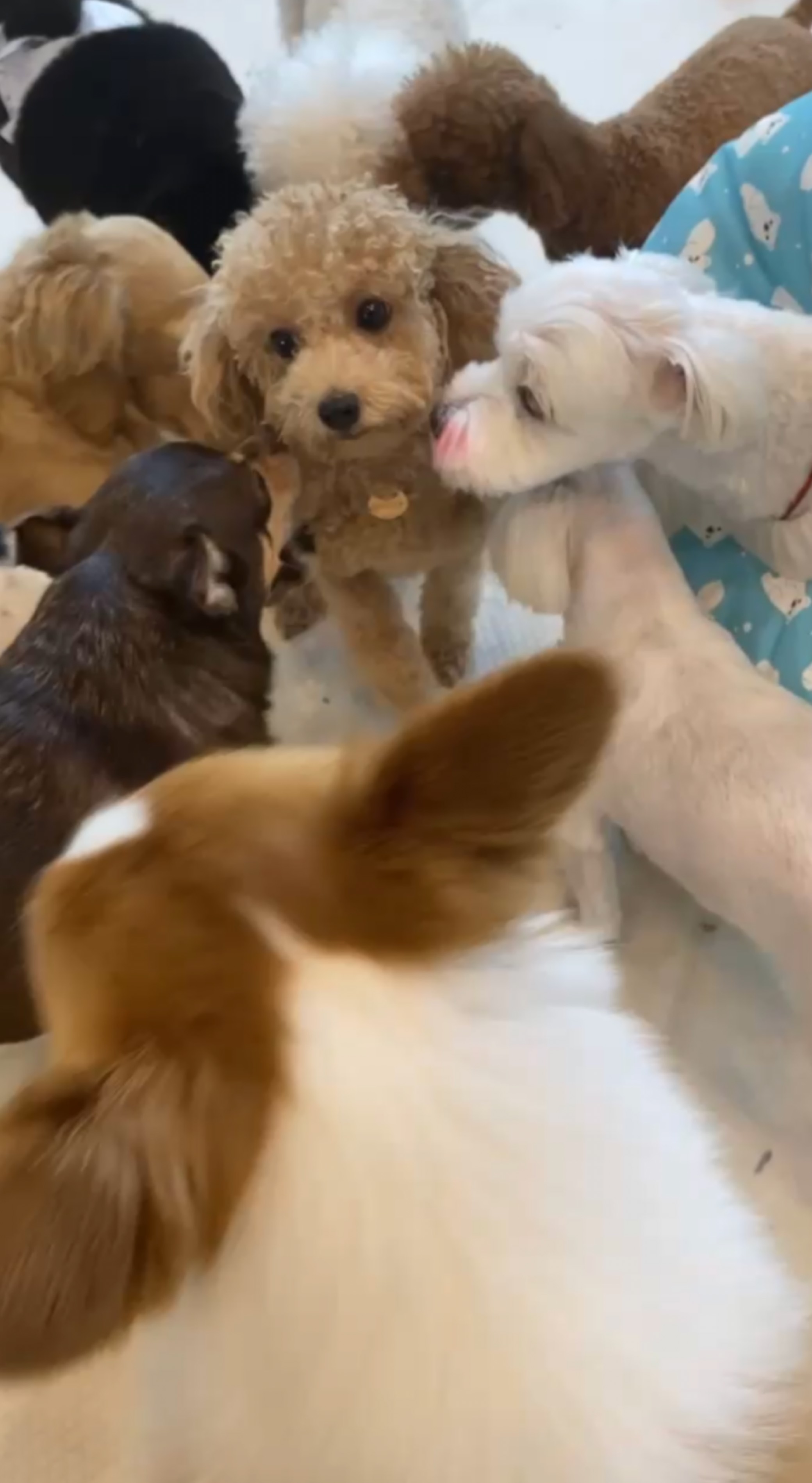 편하게오셔도되요☺️고민상담