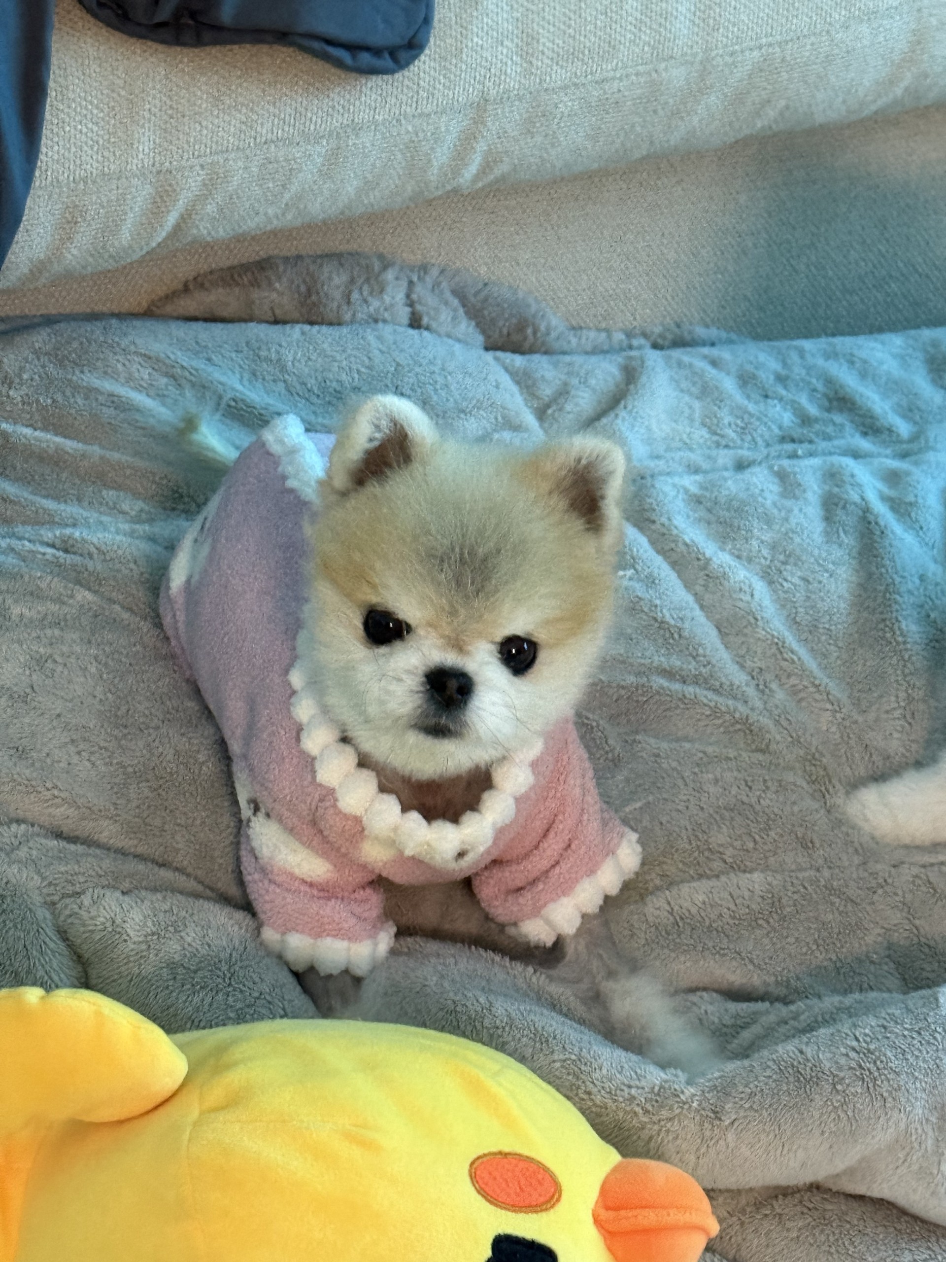 # 6시30분에만나요~!  렉스예수