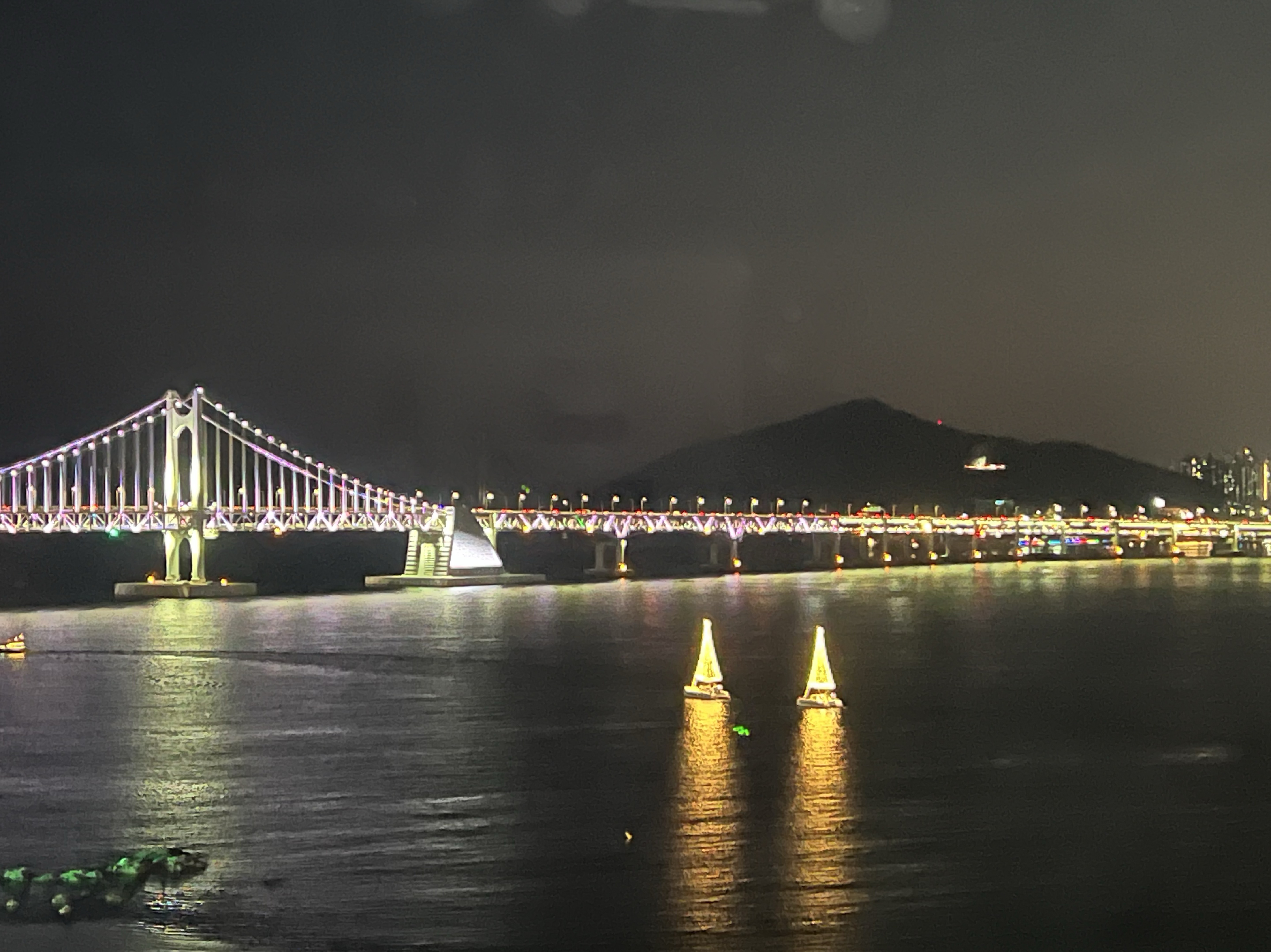 애견남이랑 떠들래? 🐶