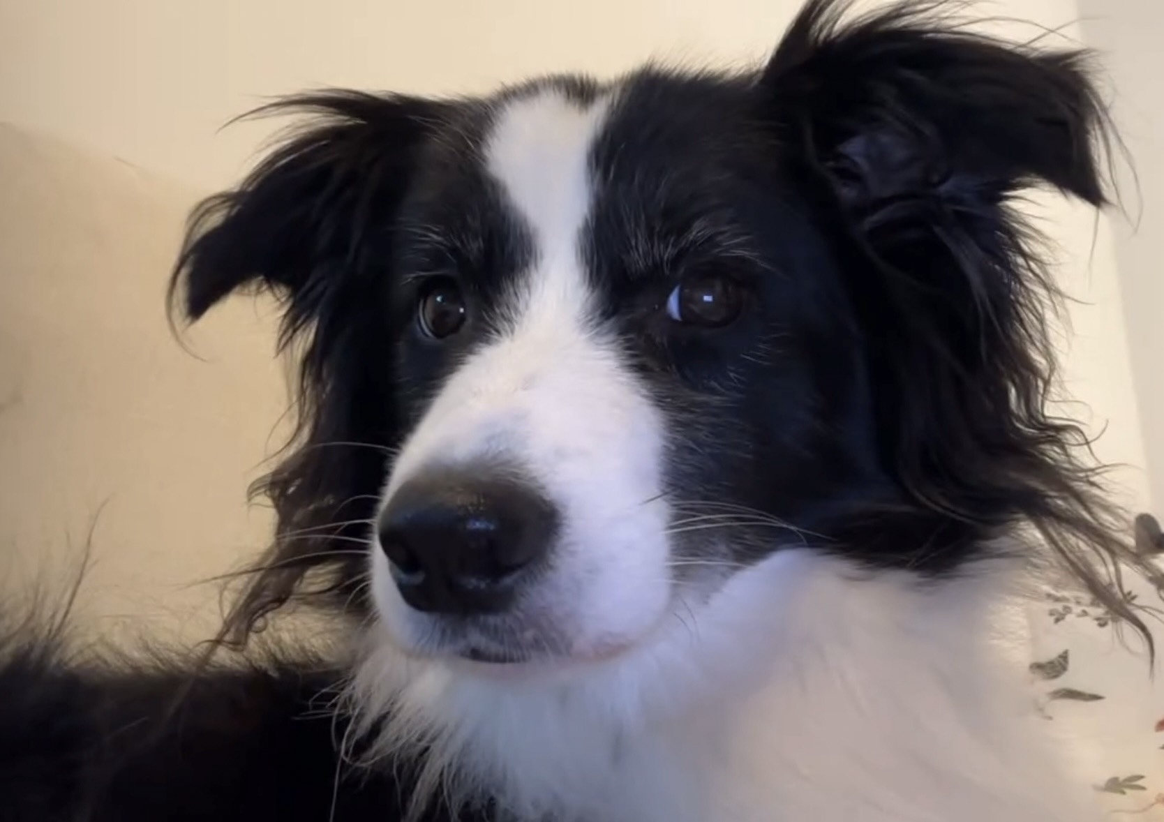 구 르 가 즘 💫