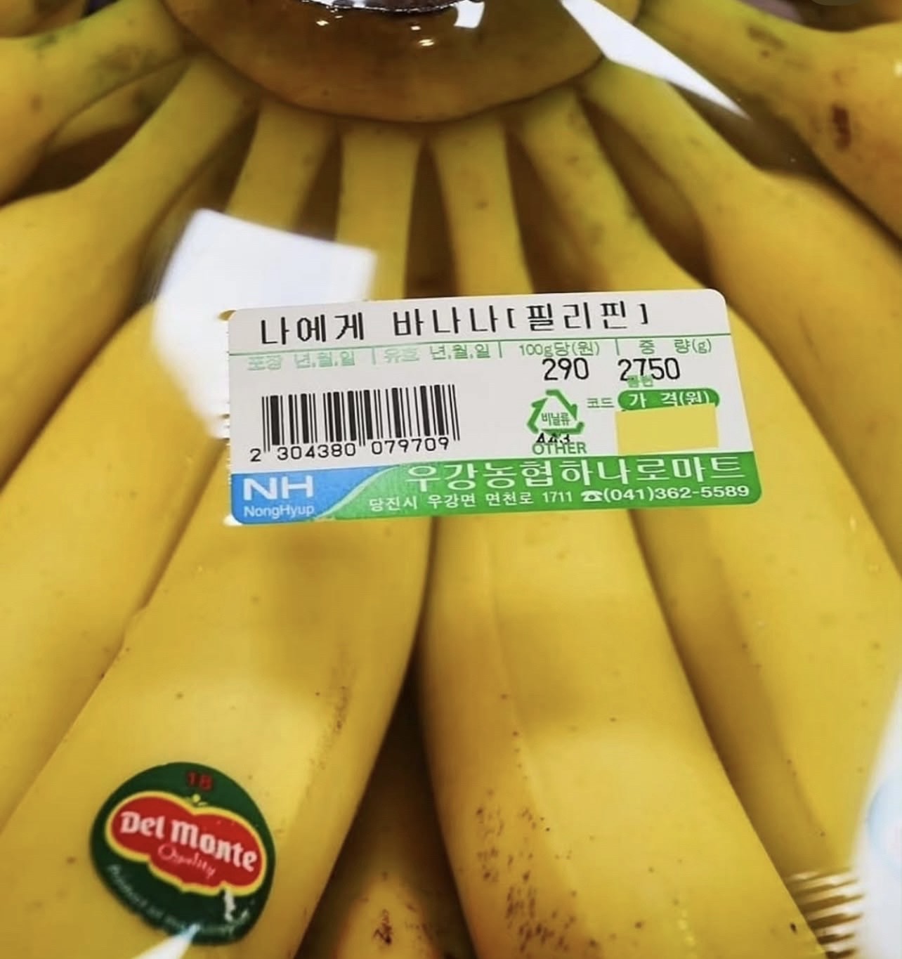 눈치게임 노래방🎤🎵