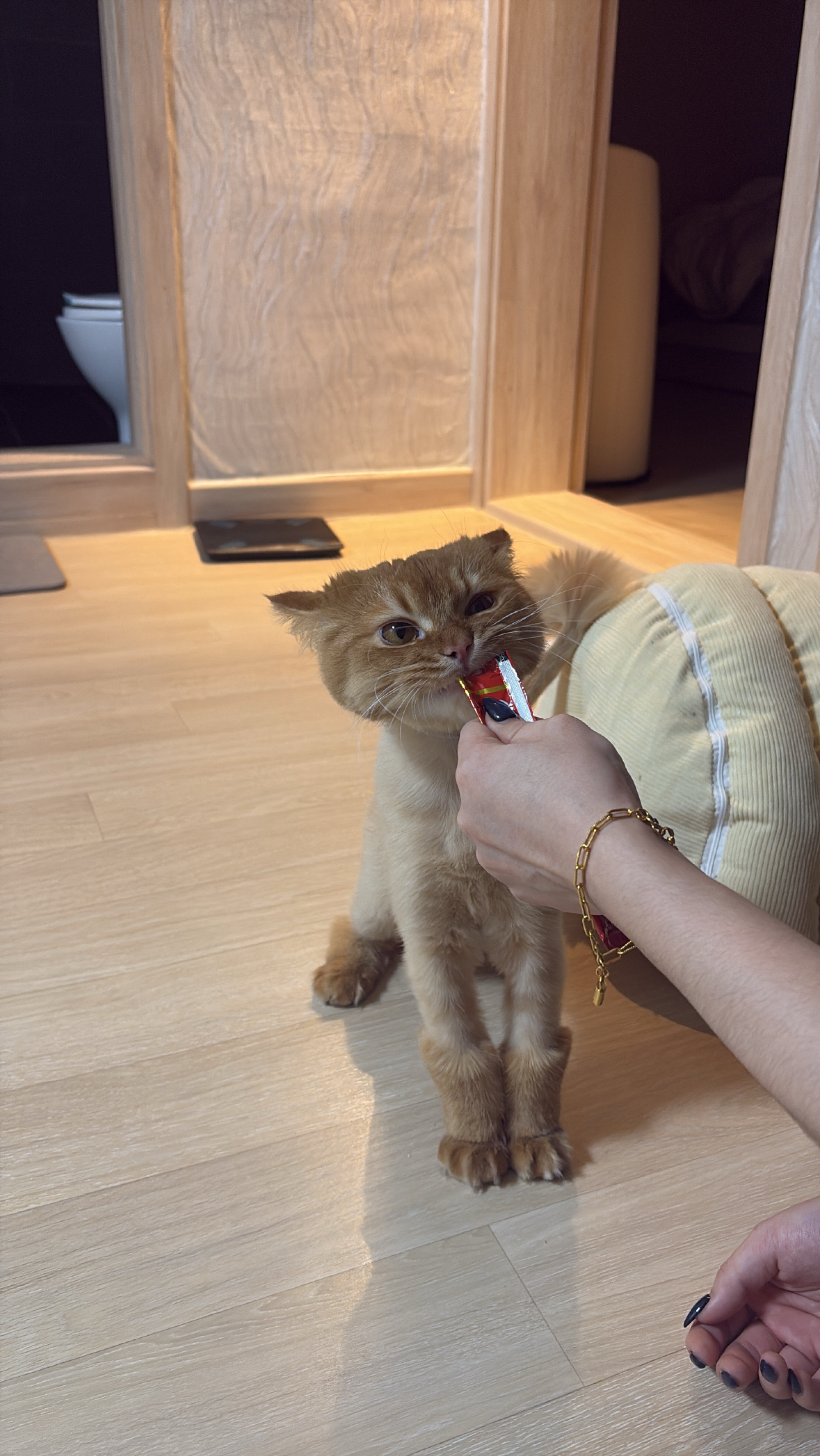 나른한 오후 ☕️