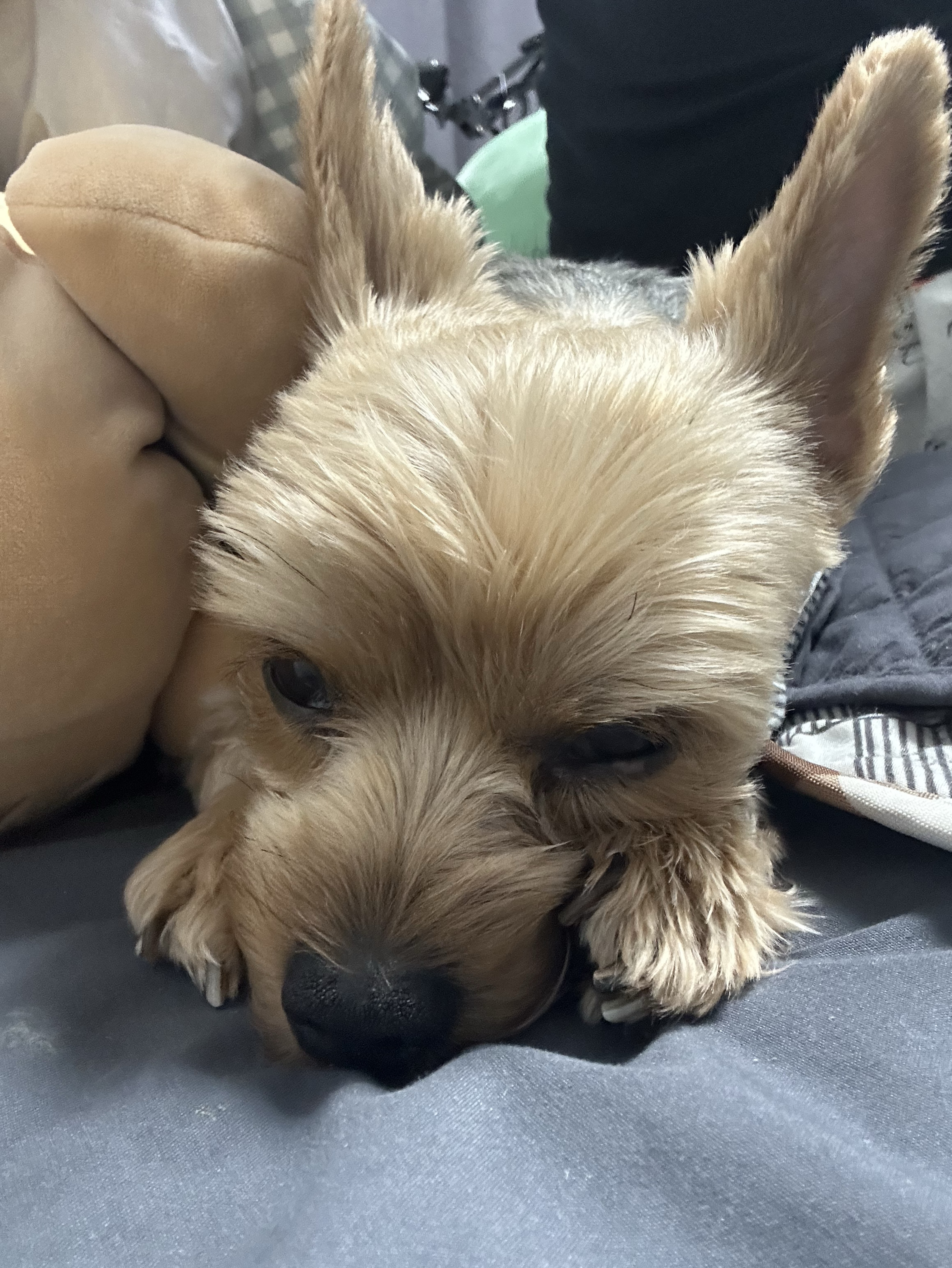 이 방송은 내맘대로 방종됩니다.