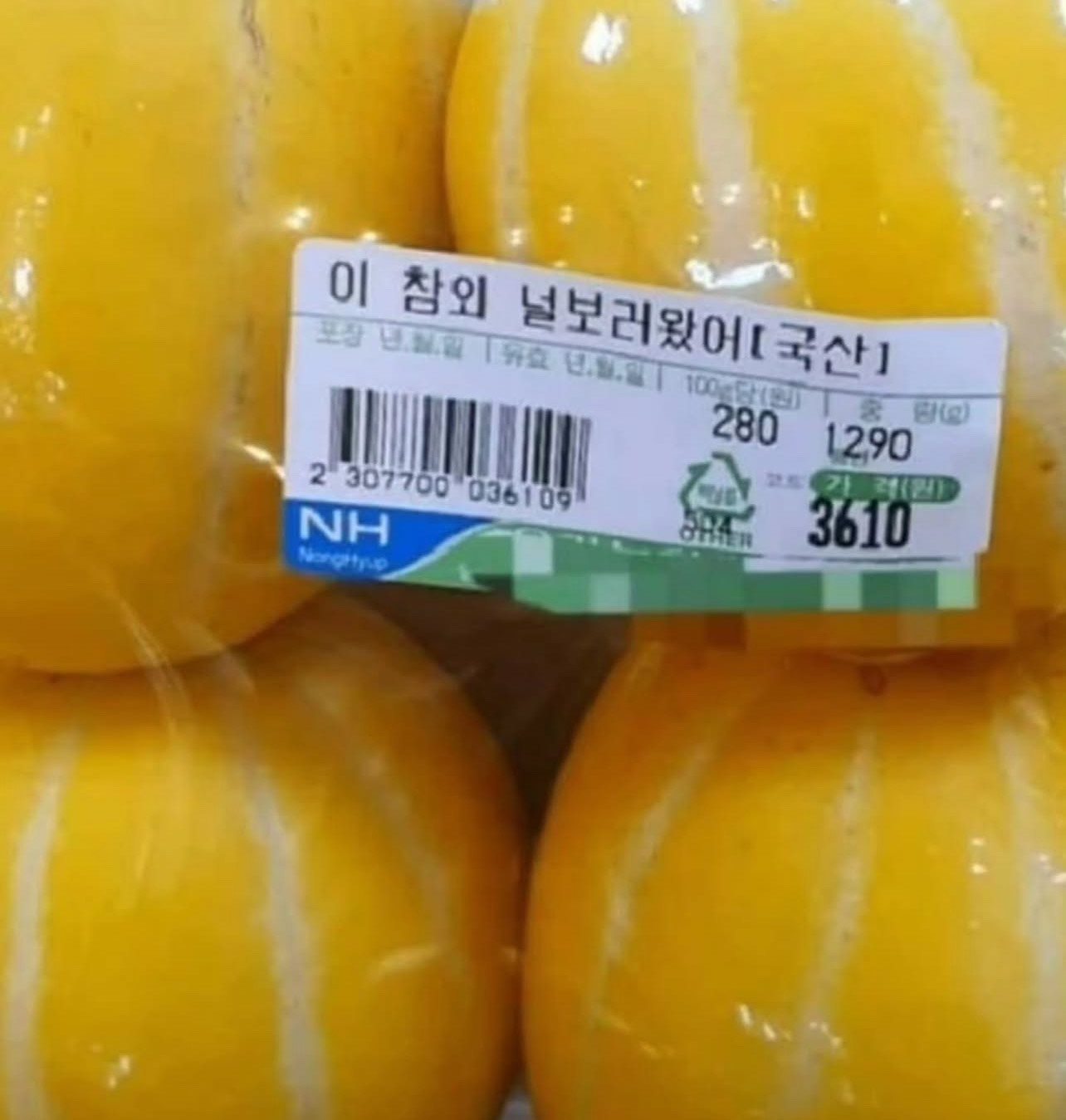 눈치게임 노래방🎤🎵