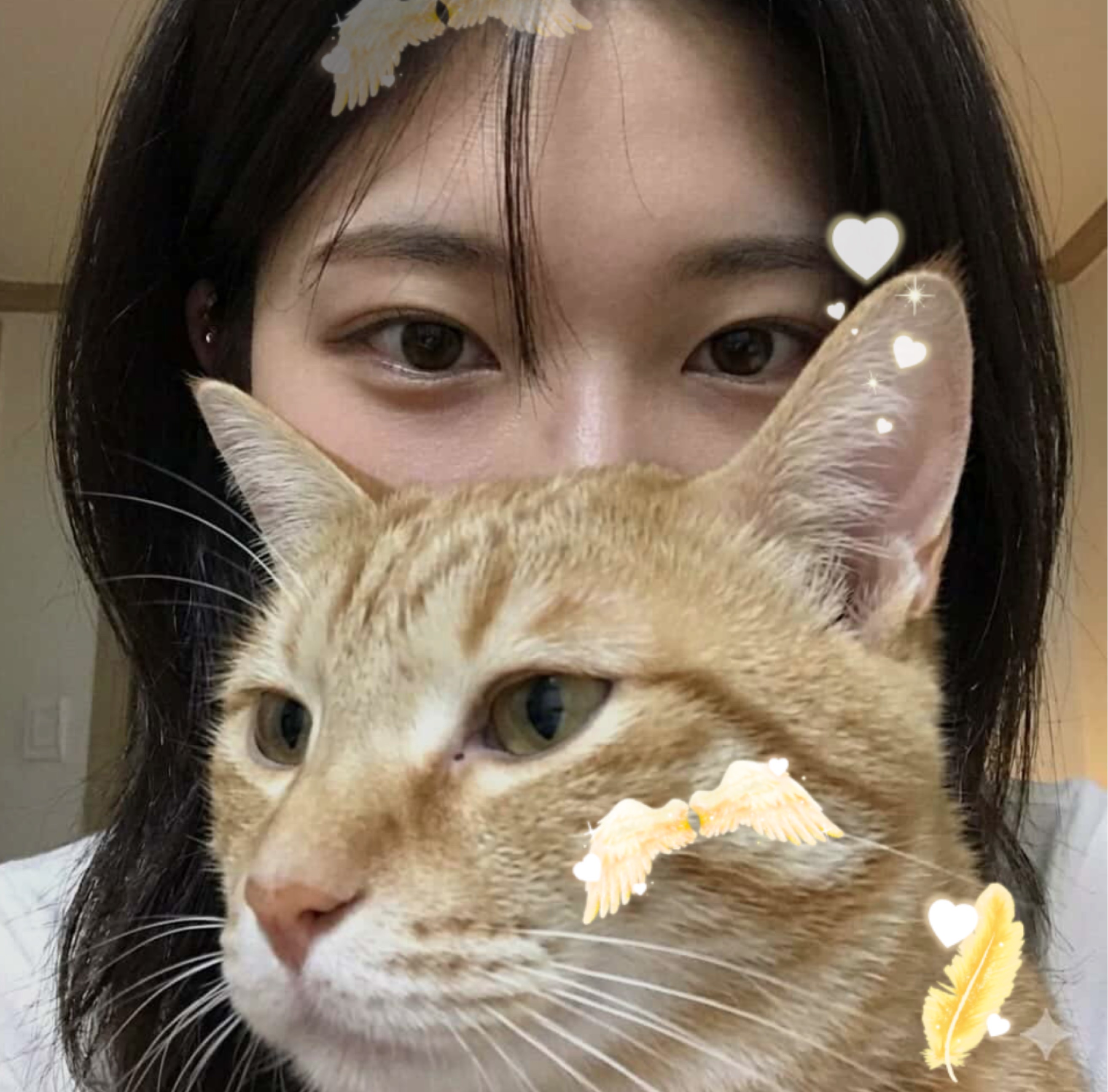 아니다 마지막으로 방송