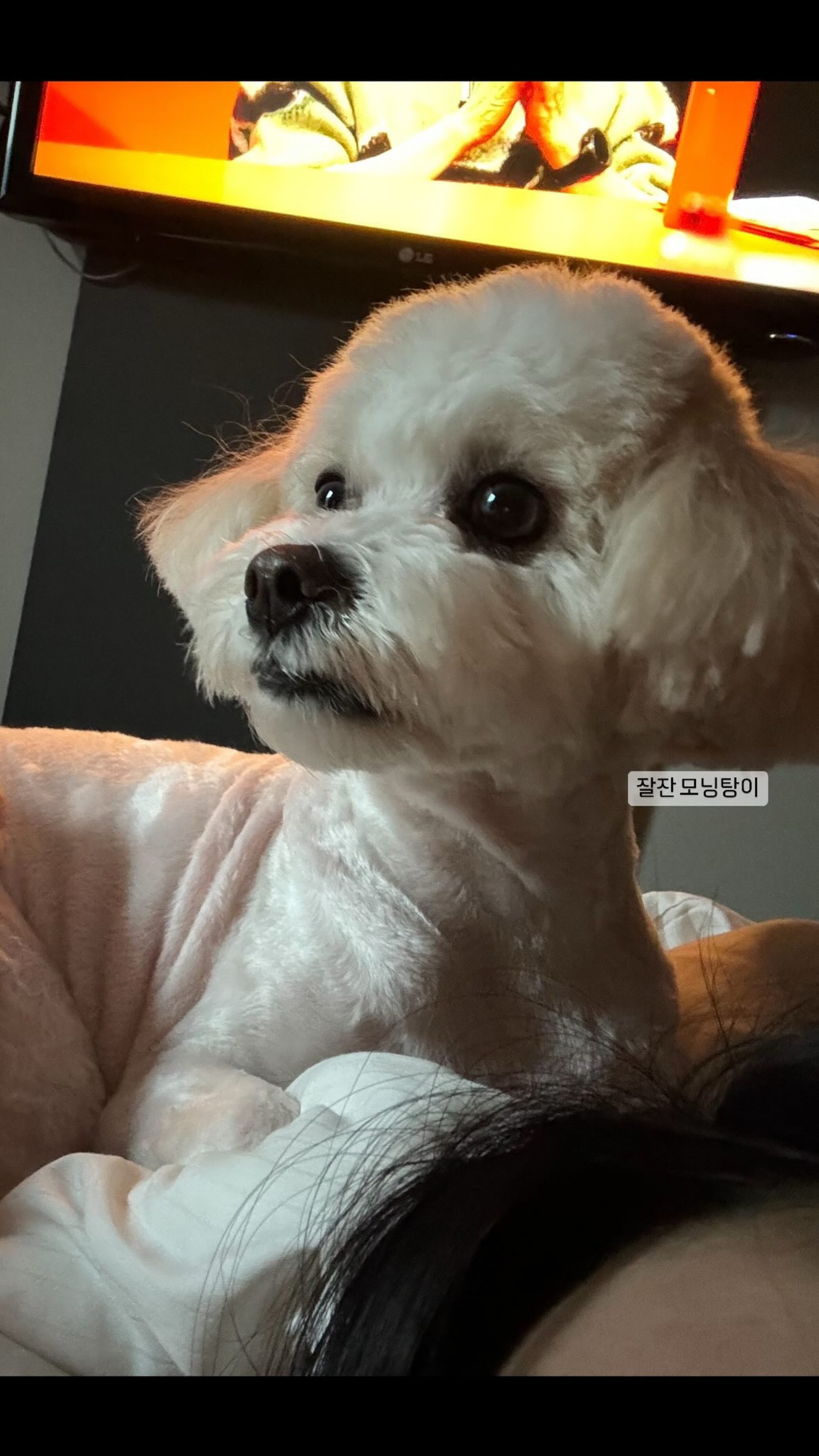 일듣하기 좋은방