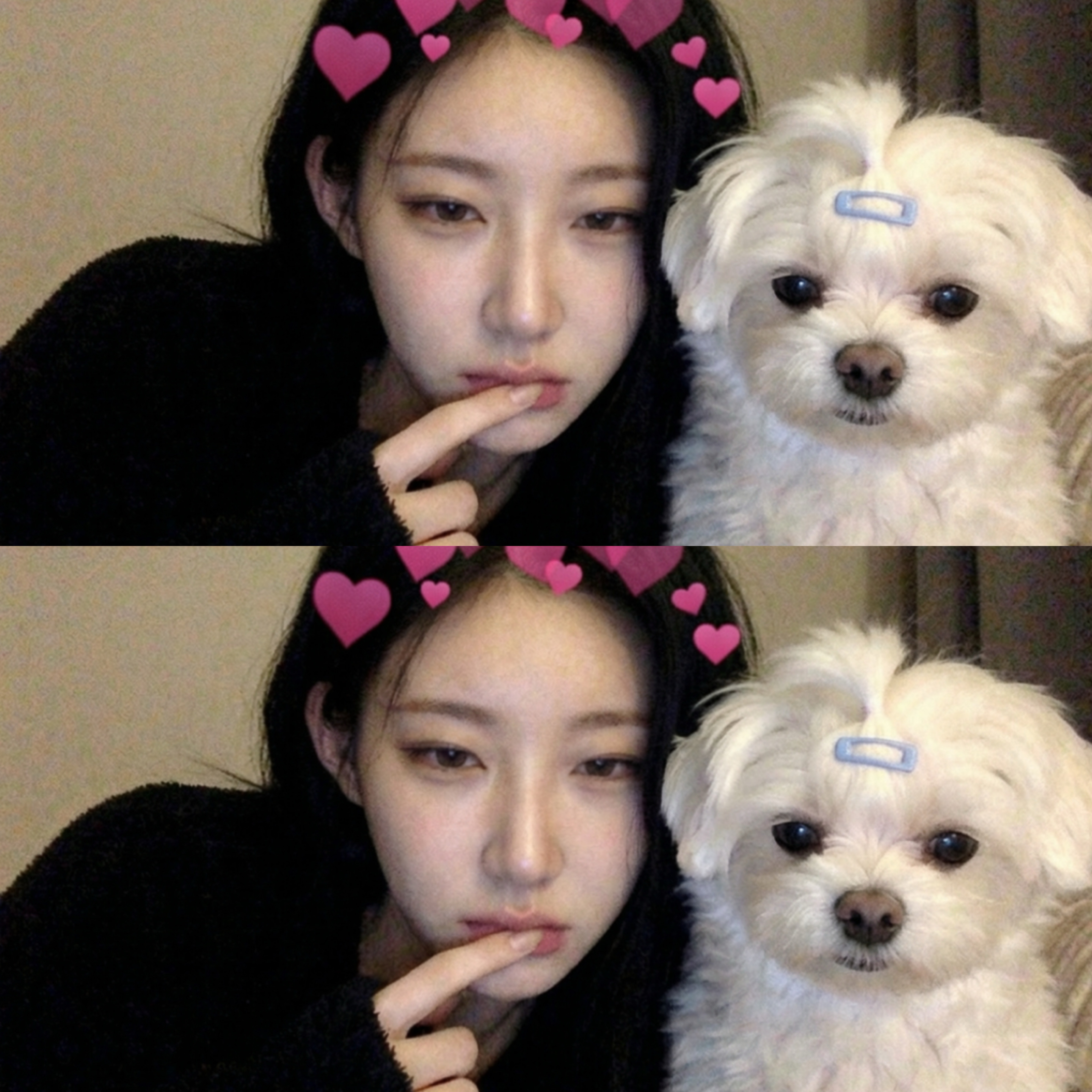 전 에겐남이 좋아요