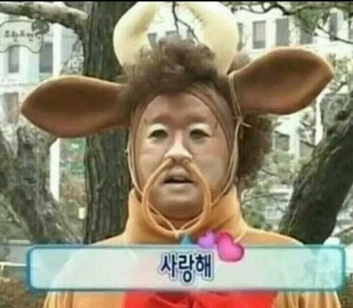 일듣하기 좋은방