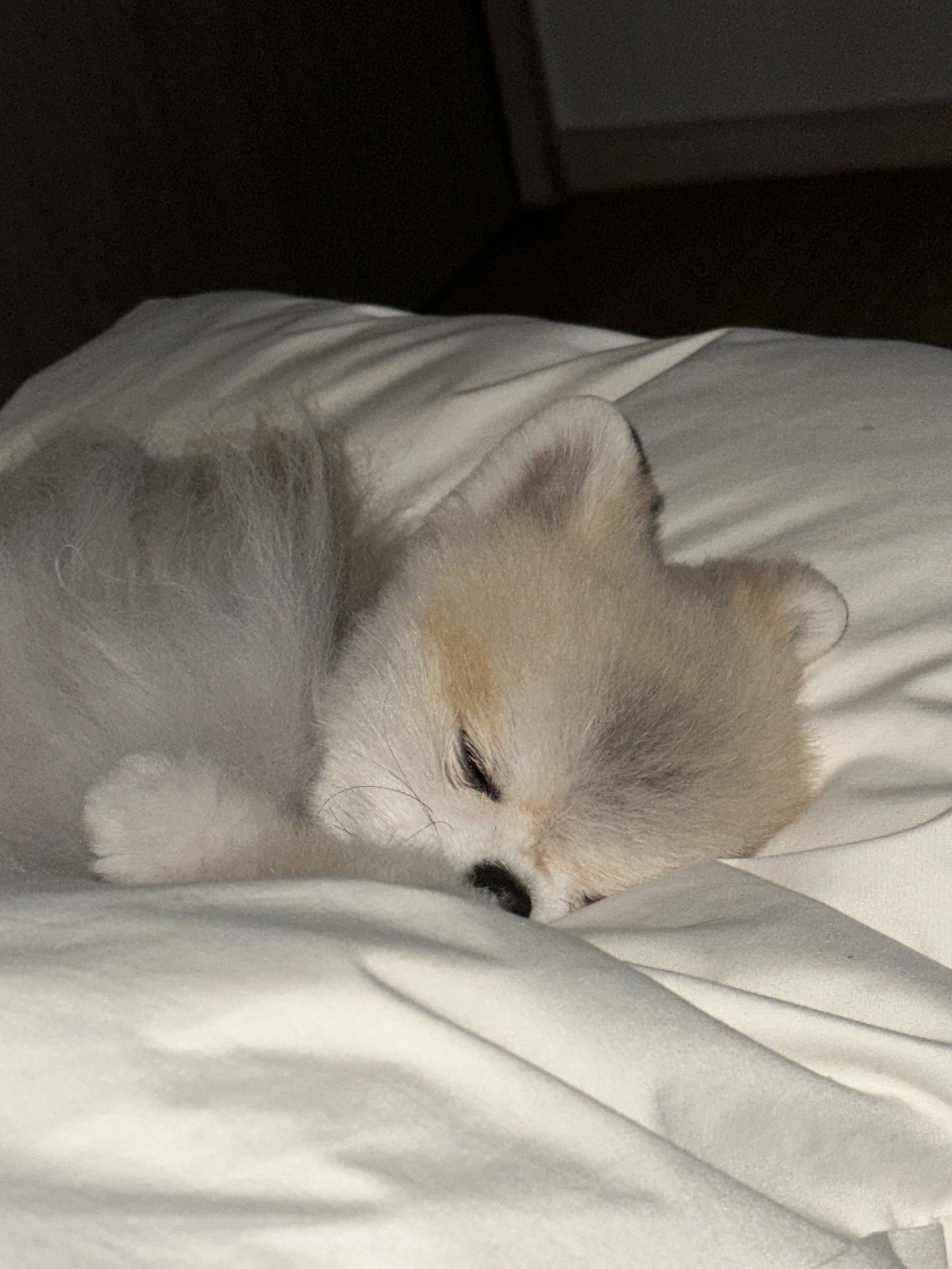 # 6시30분에만나요~!  렉스맹호