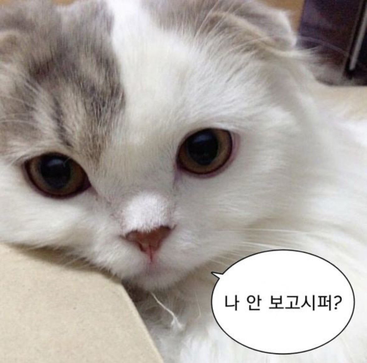 08일차) 놀아주실분 ?