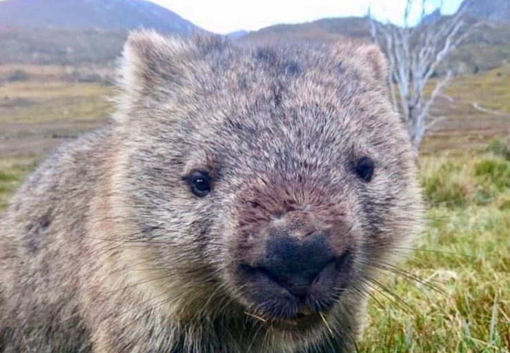 #핵꿀잼 소개팅 관전ok