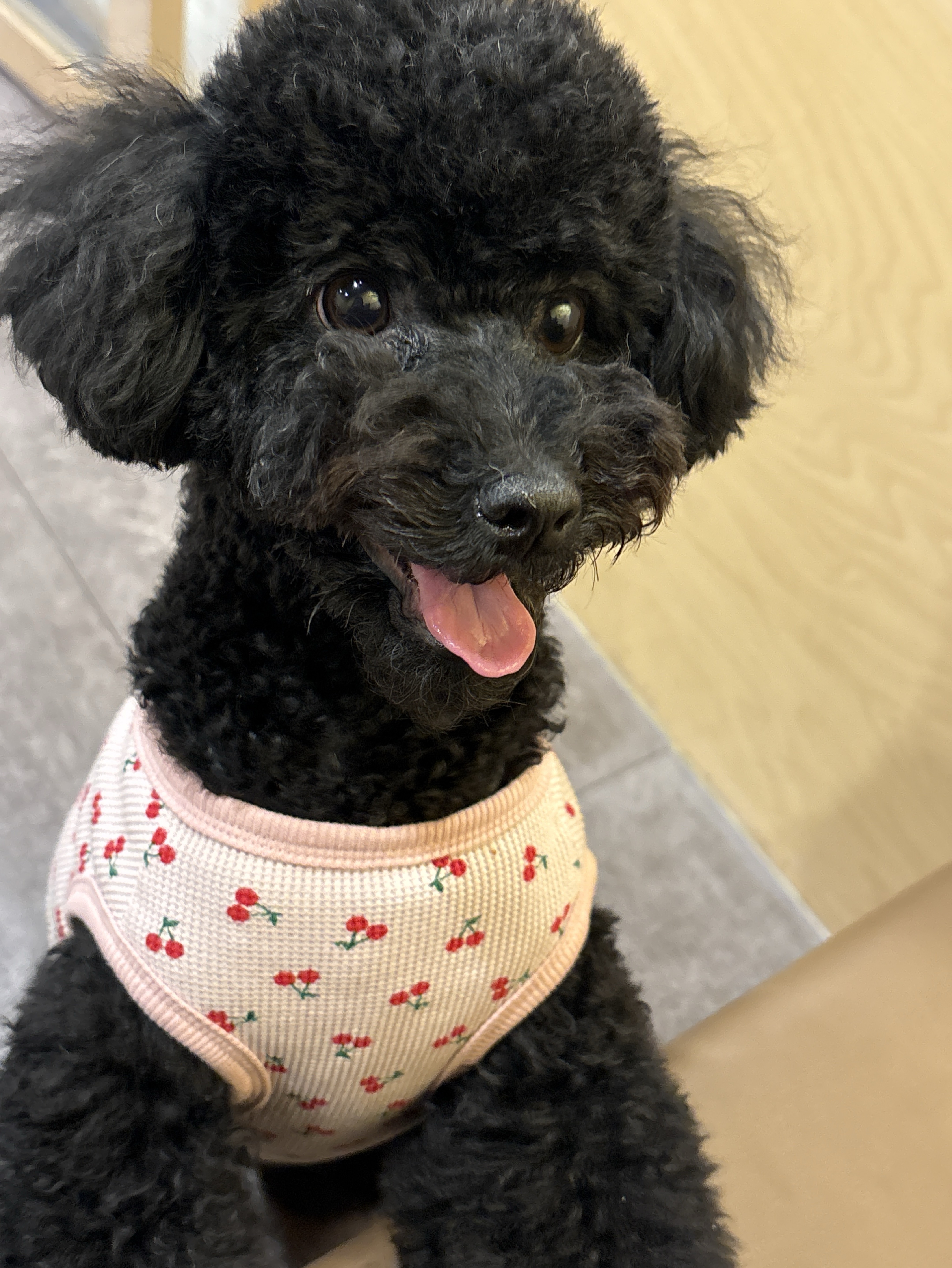 친구해줘! 이쁜사람 보러올사람 챗환영