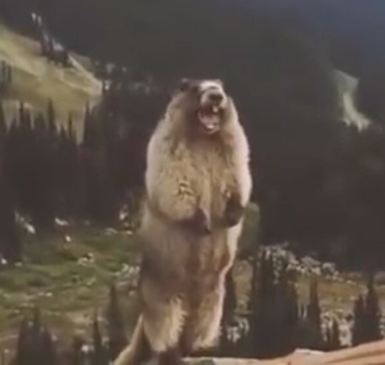 ⭐️봄 대비 동접 부족 소개팅⭐