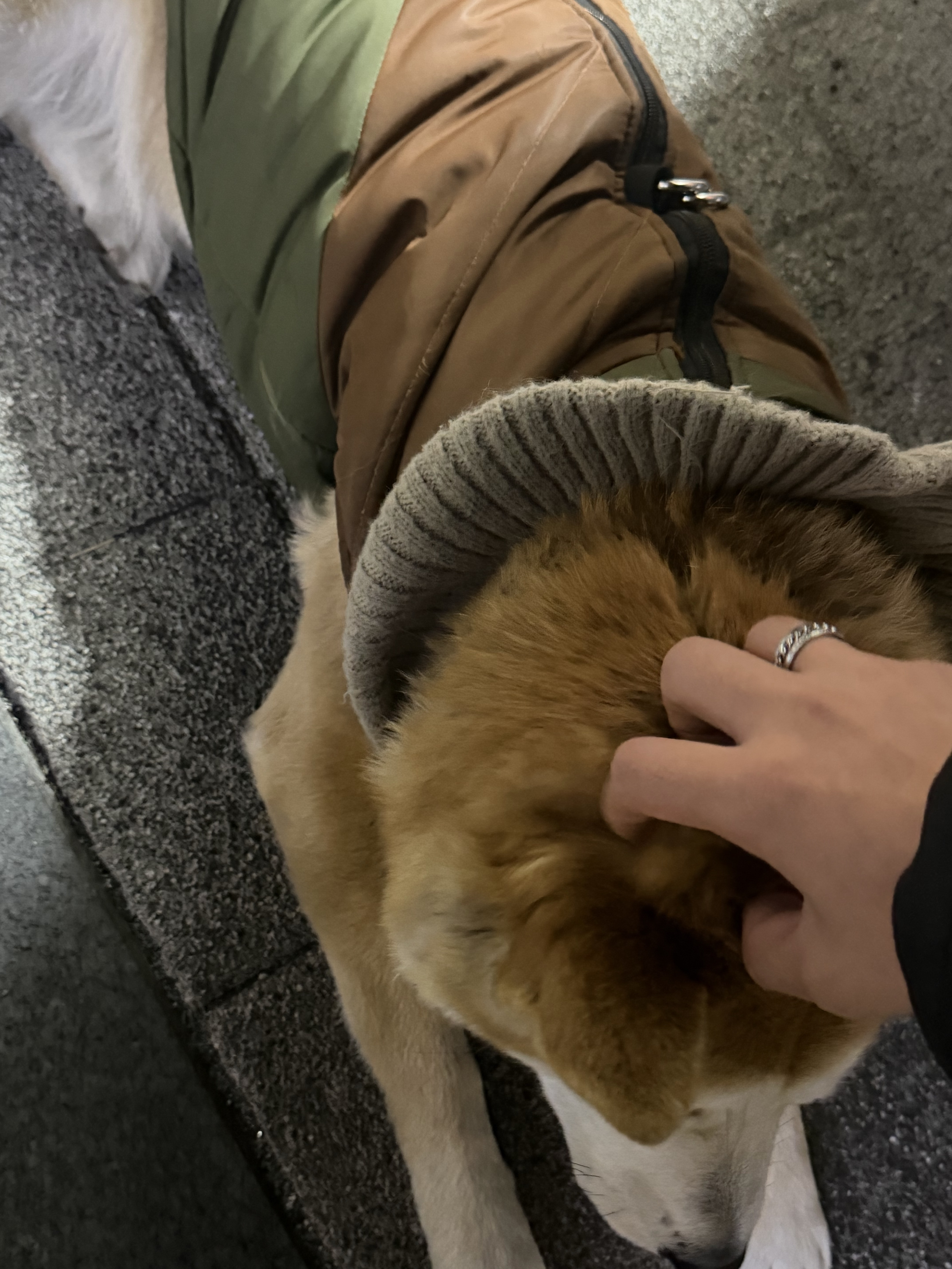 라콜)자기야 자??