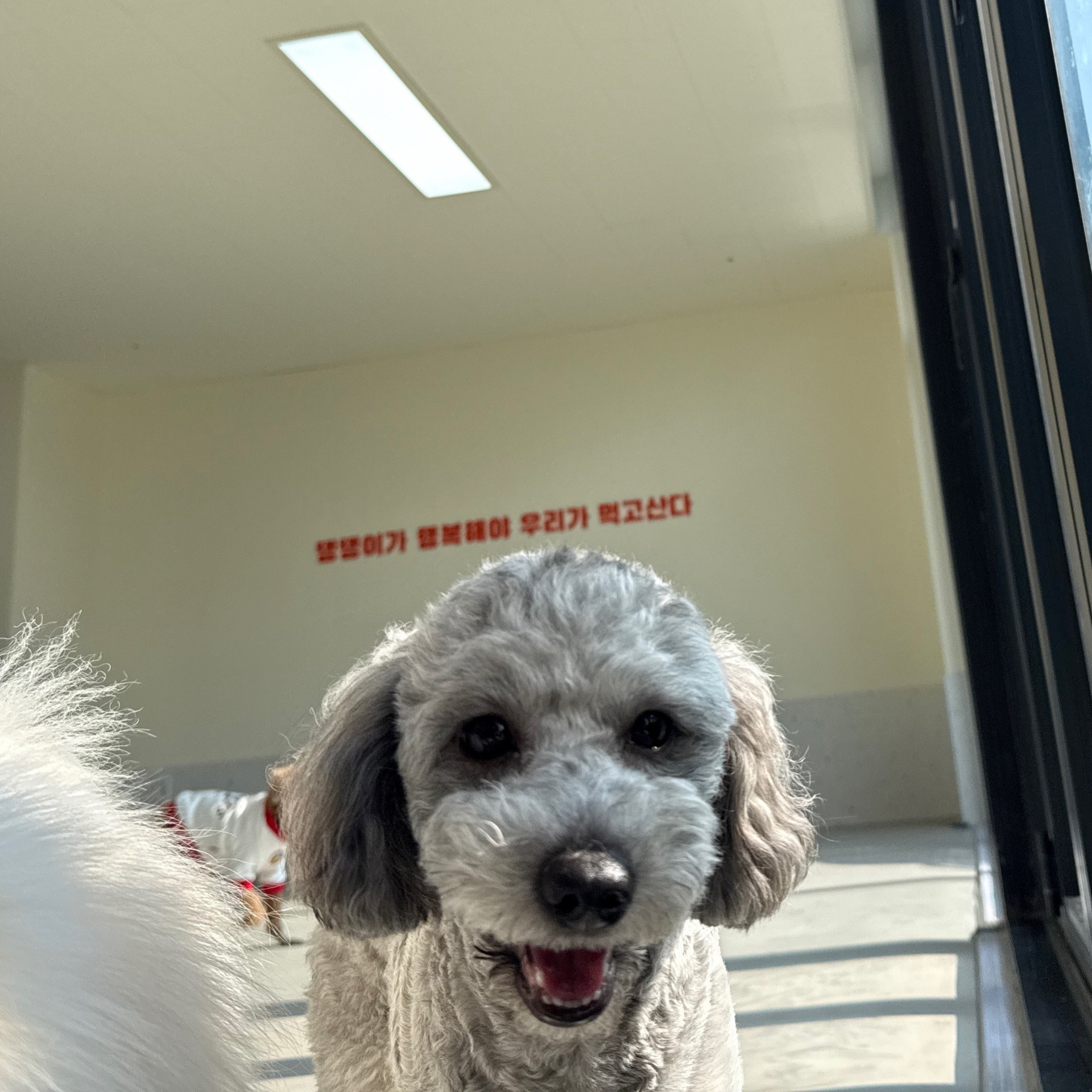 # 소개팅마감 감삼둥