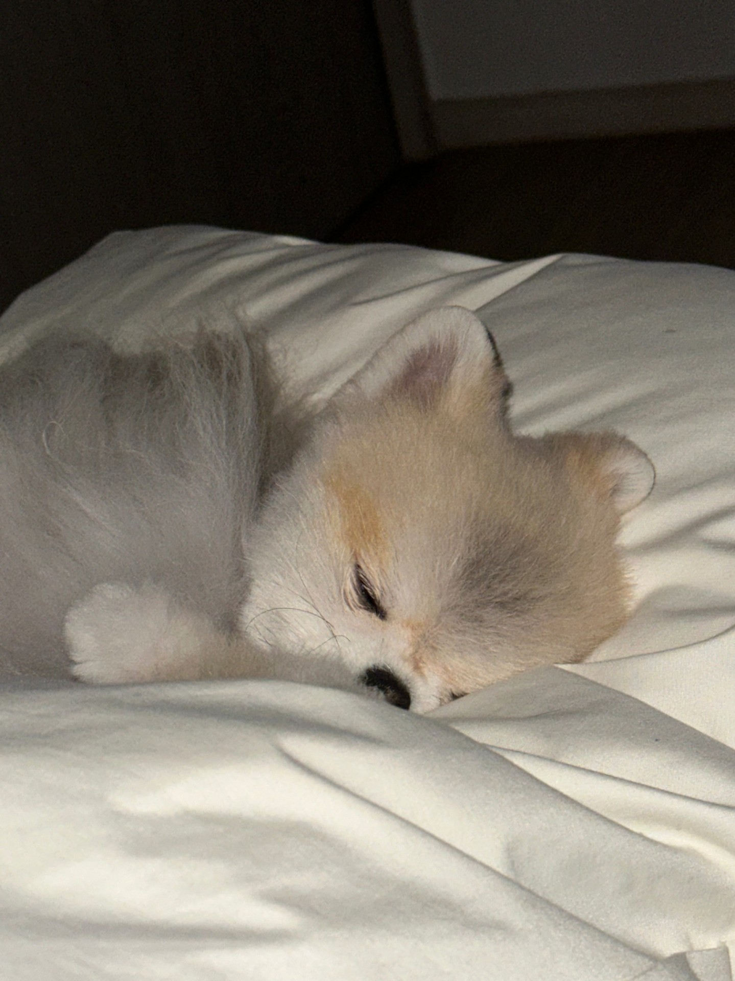 # 6시30분에만나요~!렉스예수