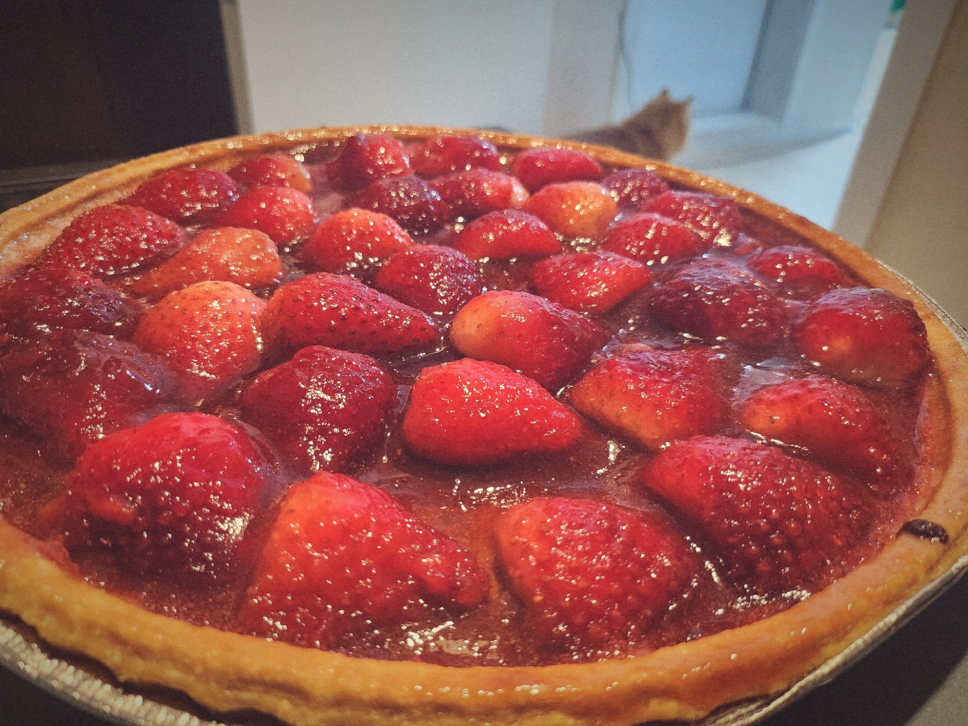 우리의 밤은 당신의 낮보다 아름답다