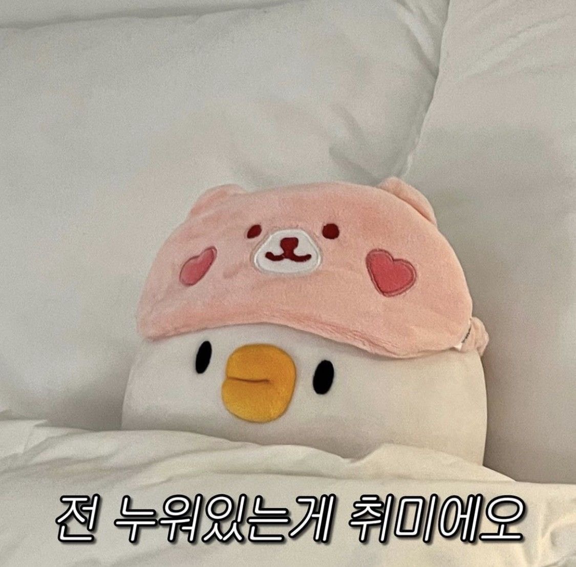 망설이는거 아니까 그냥 들어와 .