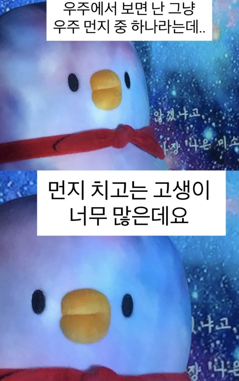 11시 현콩 깃발 채워주세요..