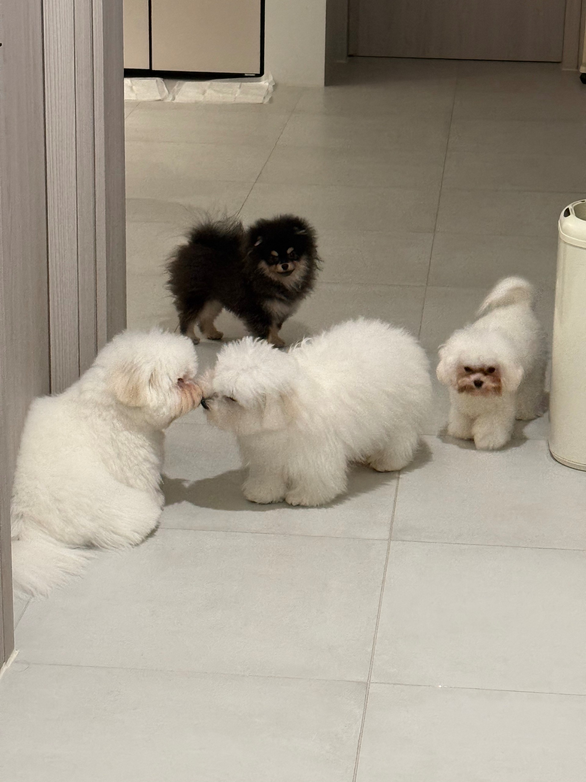 #♥마감 ㅅㄱ링 ♥