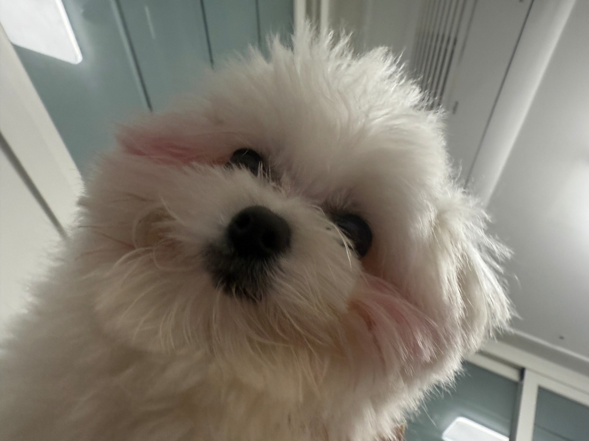 수고하셨습니다 .