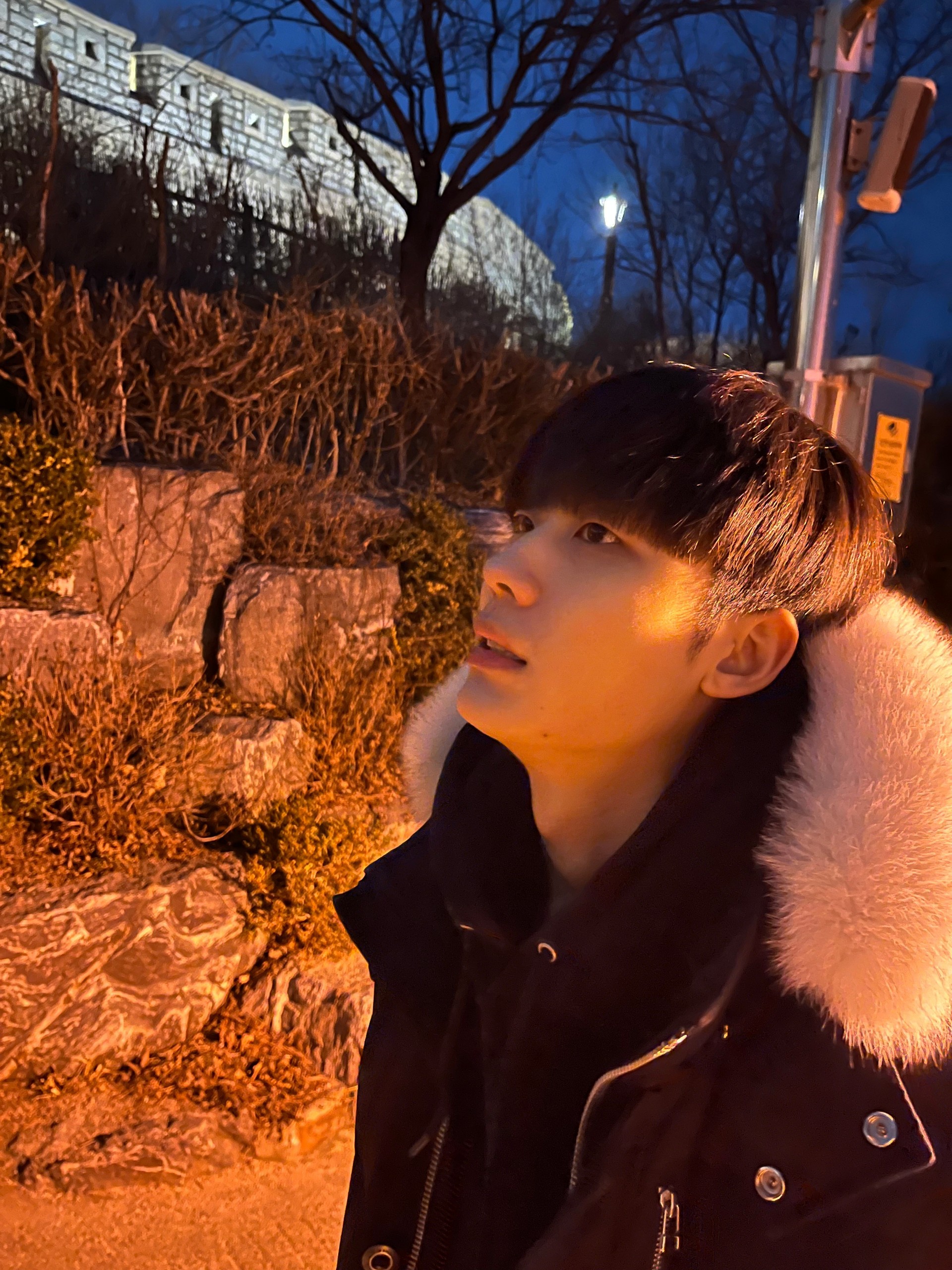 봄은 오는데 너는 언제와?