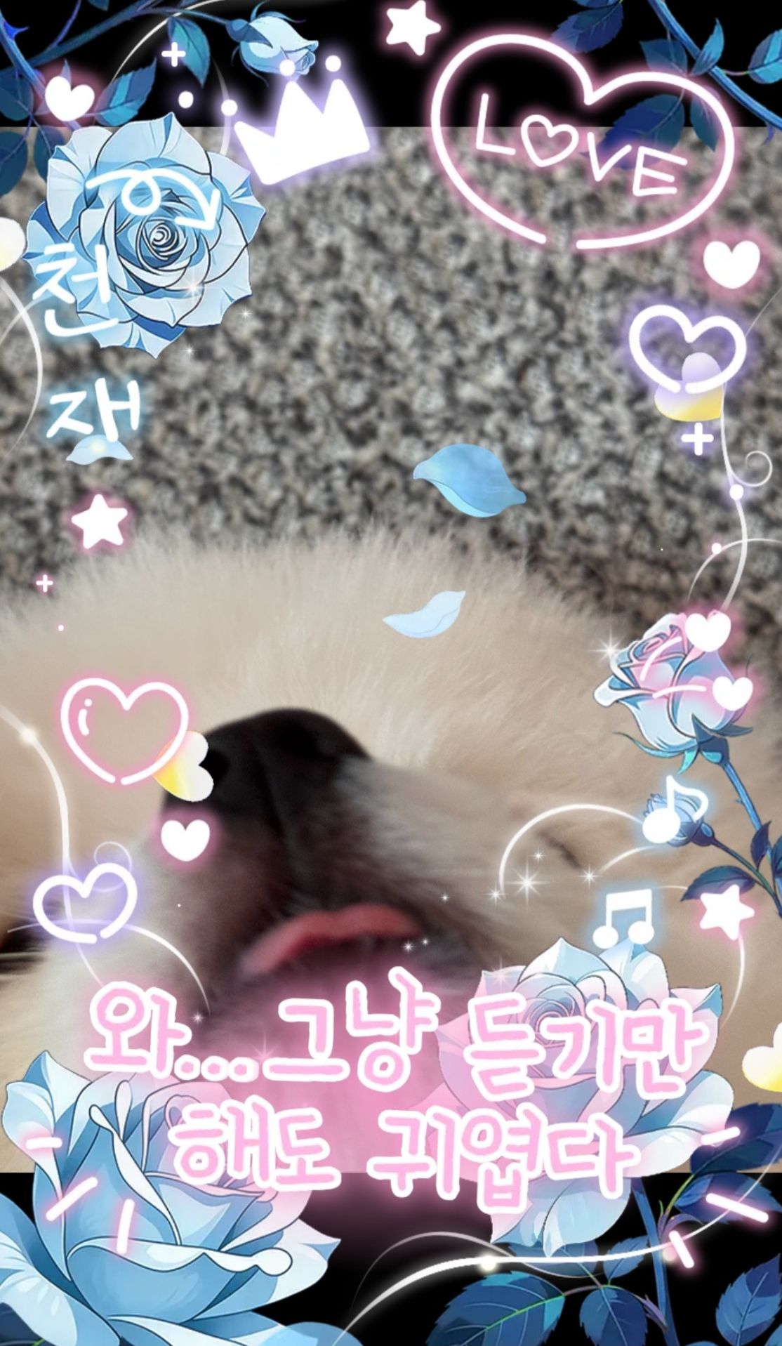 얼그레이 먹을래?