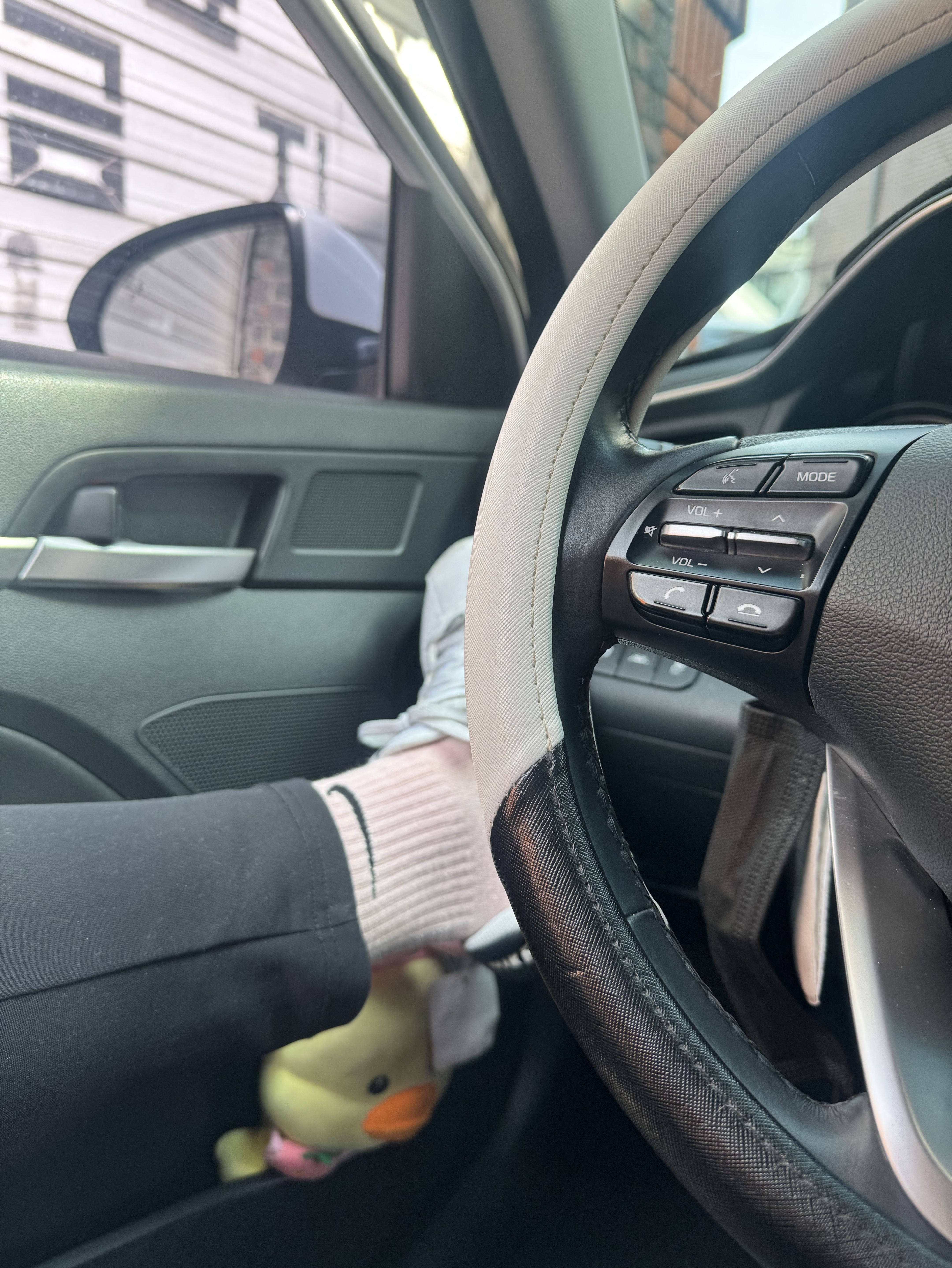 팸 원 모 집 해 용