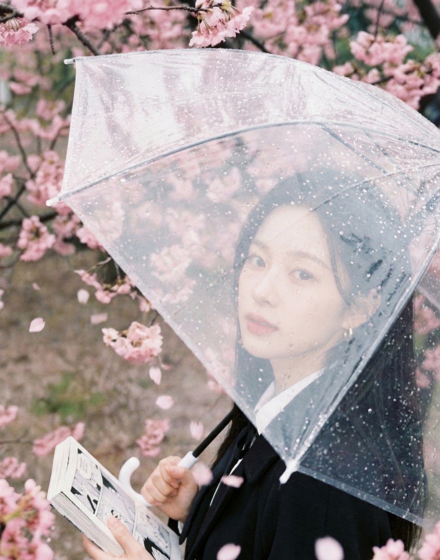 어서오십쇼🌟👀