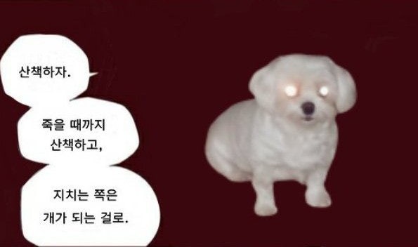 수다떨자죽을때까지수다떨고지치는쪽이개가