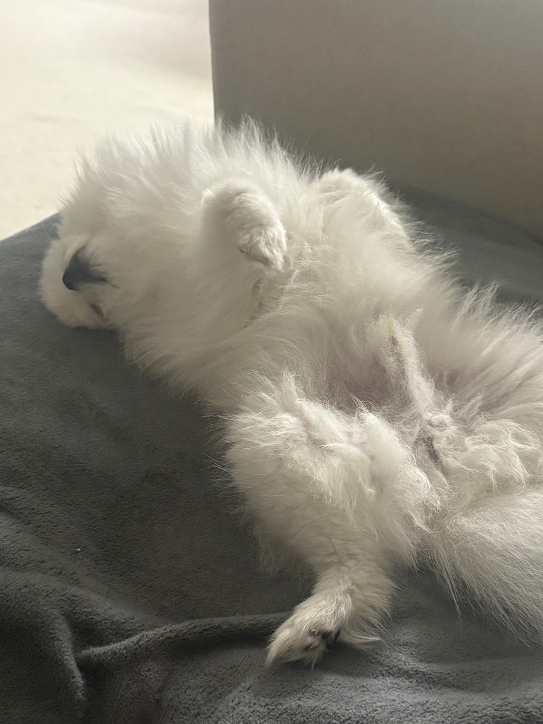 # 마감 담좌 알렉스